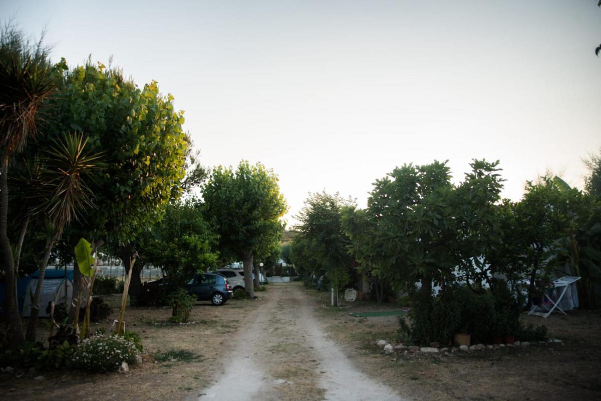 Photo 35