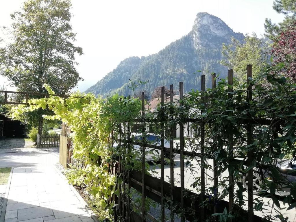 König Ludwig' das märchenhafte Appartement