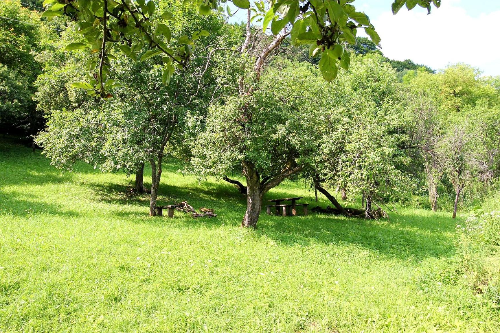 Marcell vendégház view 5