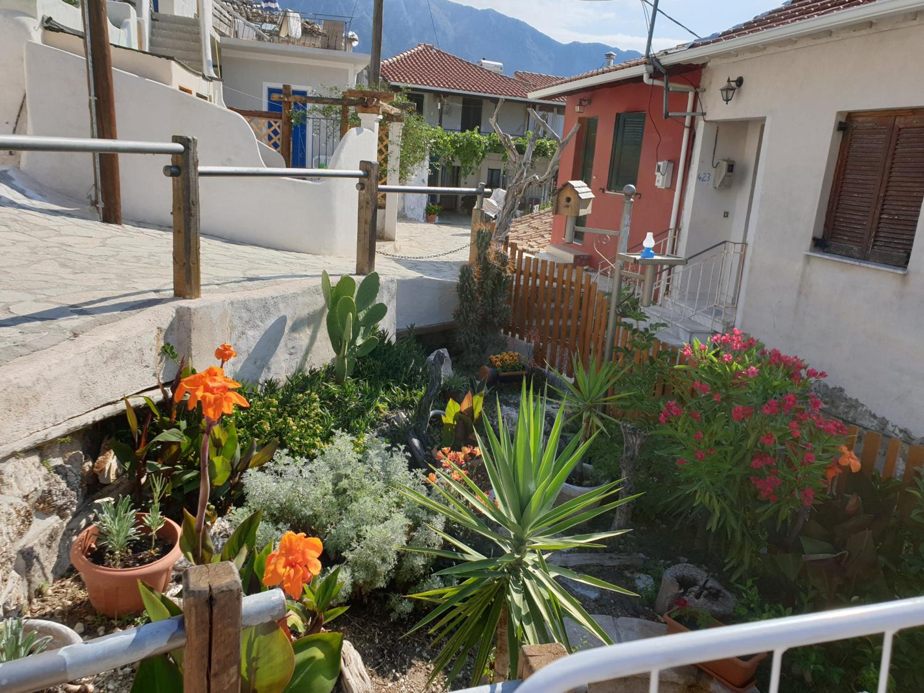 Photo 20