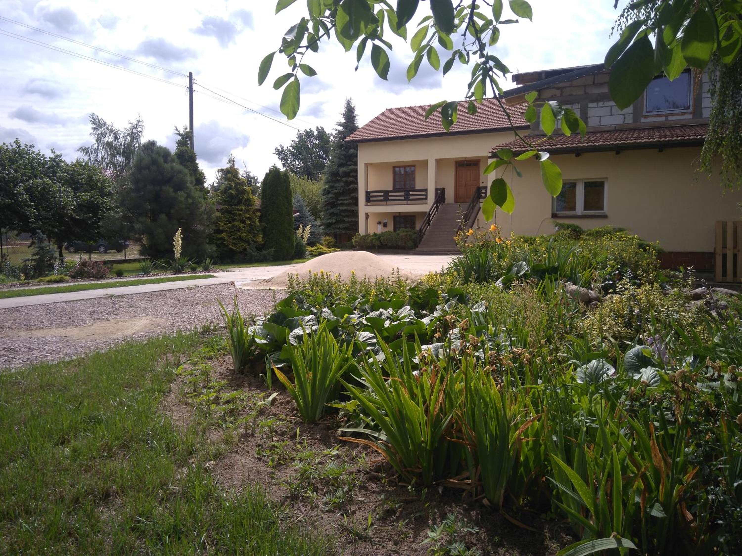 Photo 6