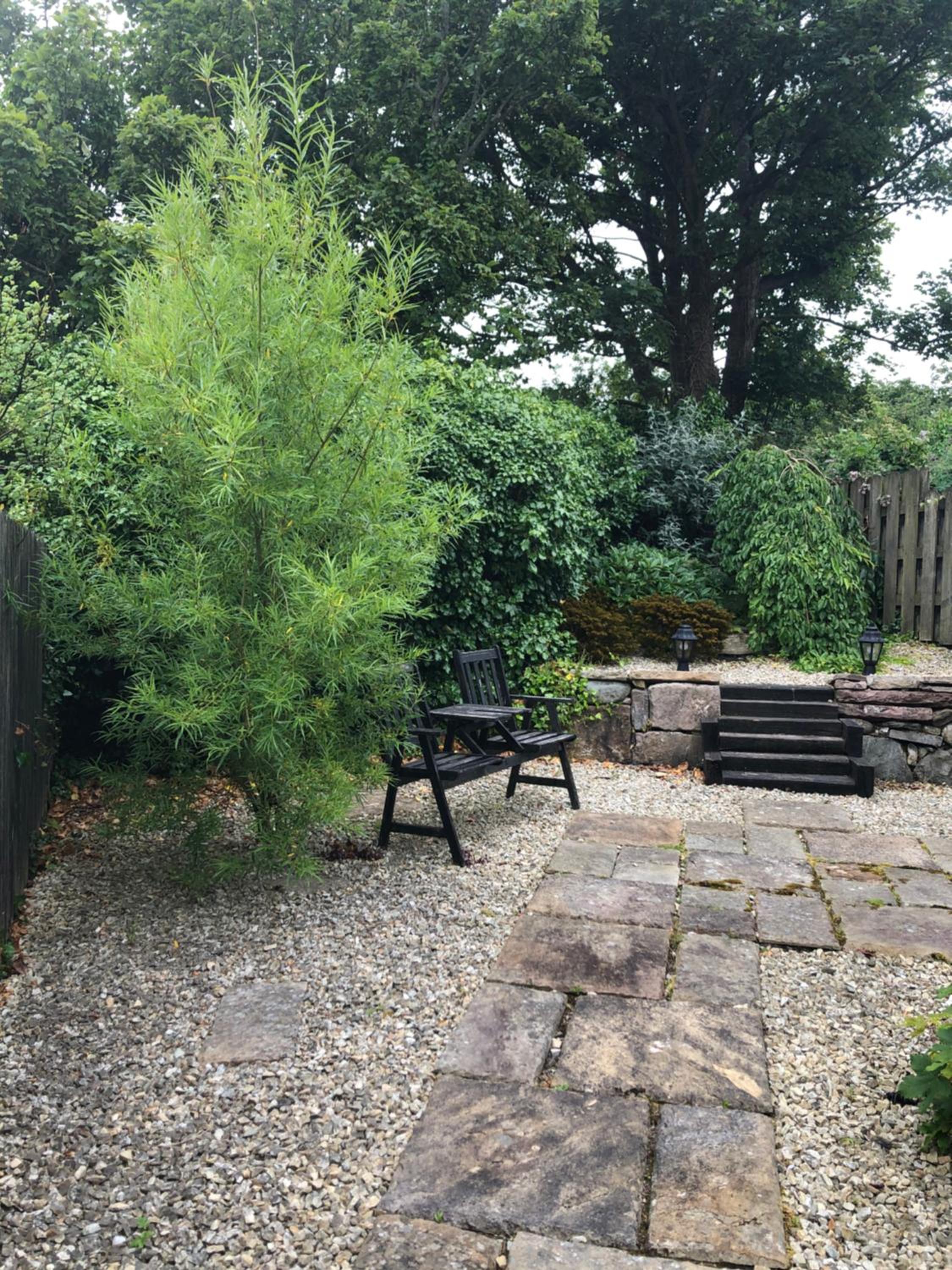 Photo 6