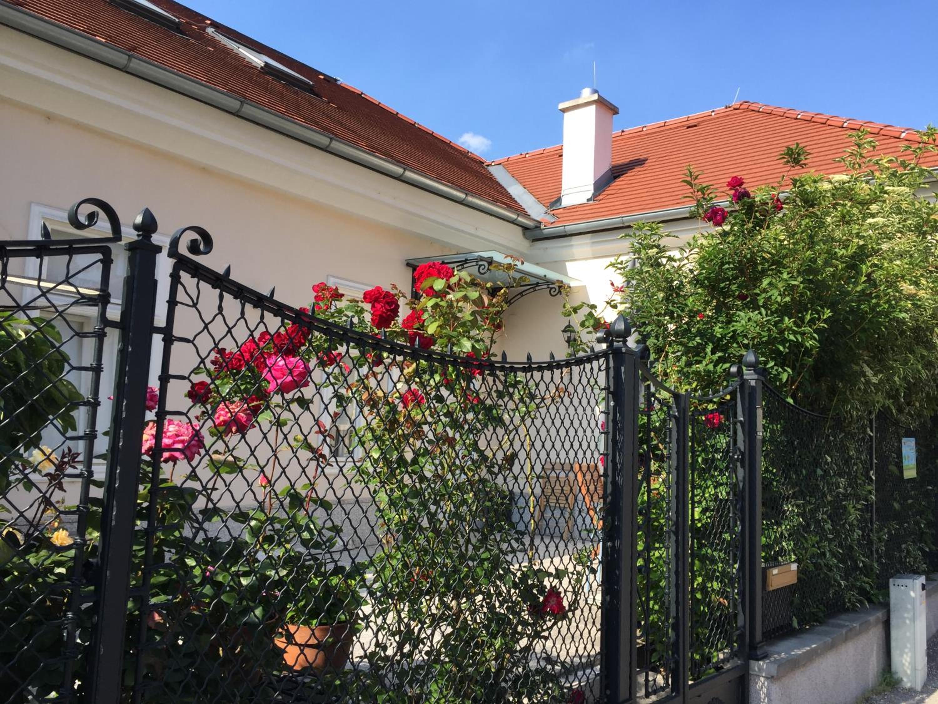 Terrasse Wohnungen mit parking in Zentrum