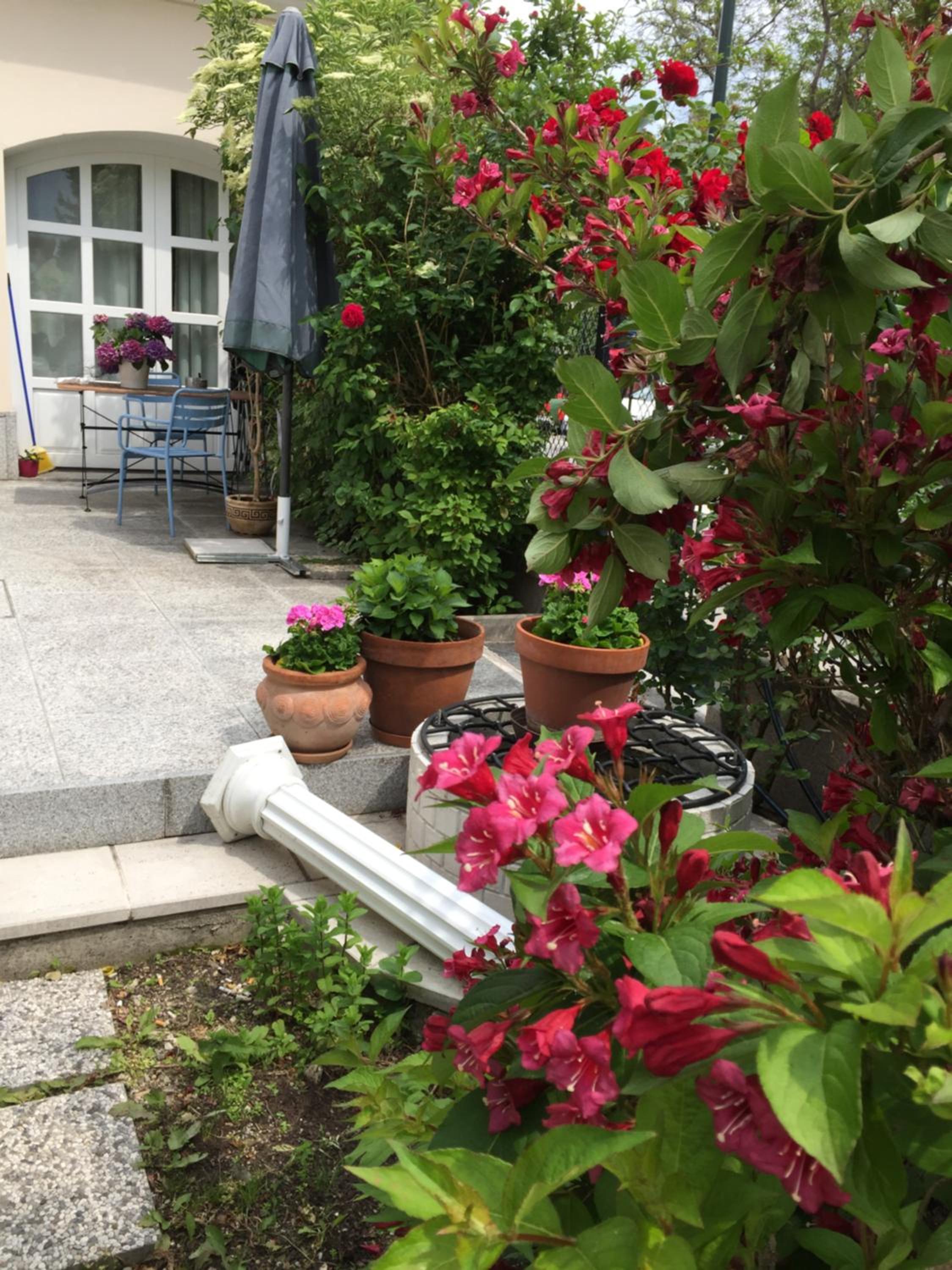 Terrasse Wohnungen mit parking in Zentrum