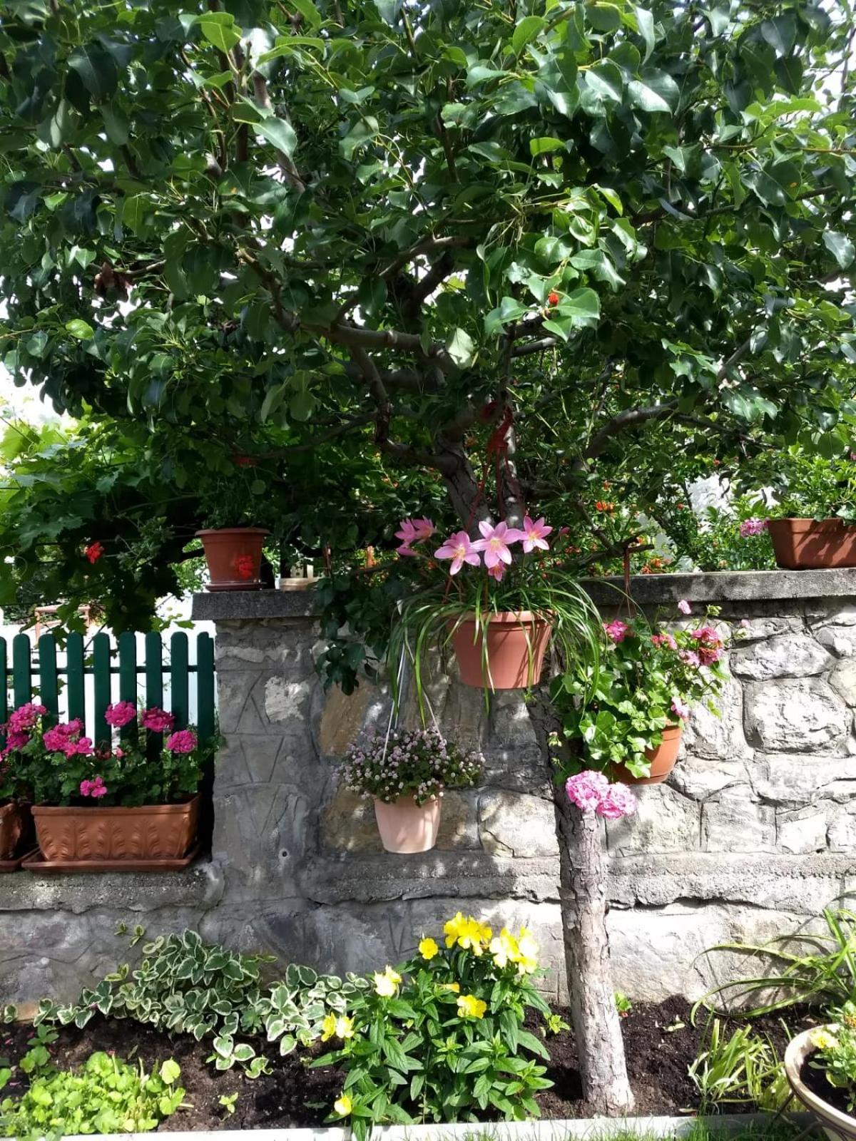 Photo 45