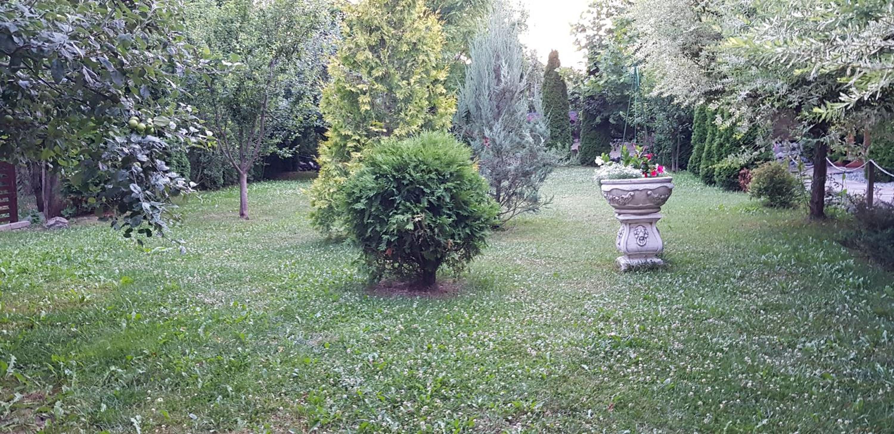 Photo 29