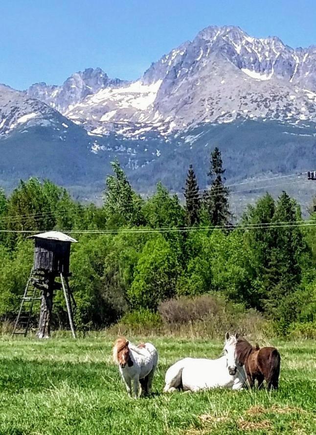 Penzión Monty Ranch Vysoké Tatry Štôla view 5