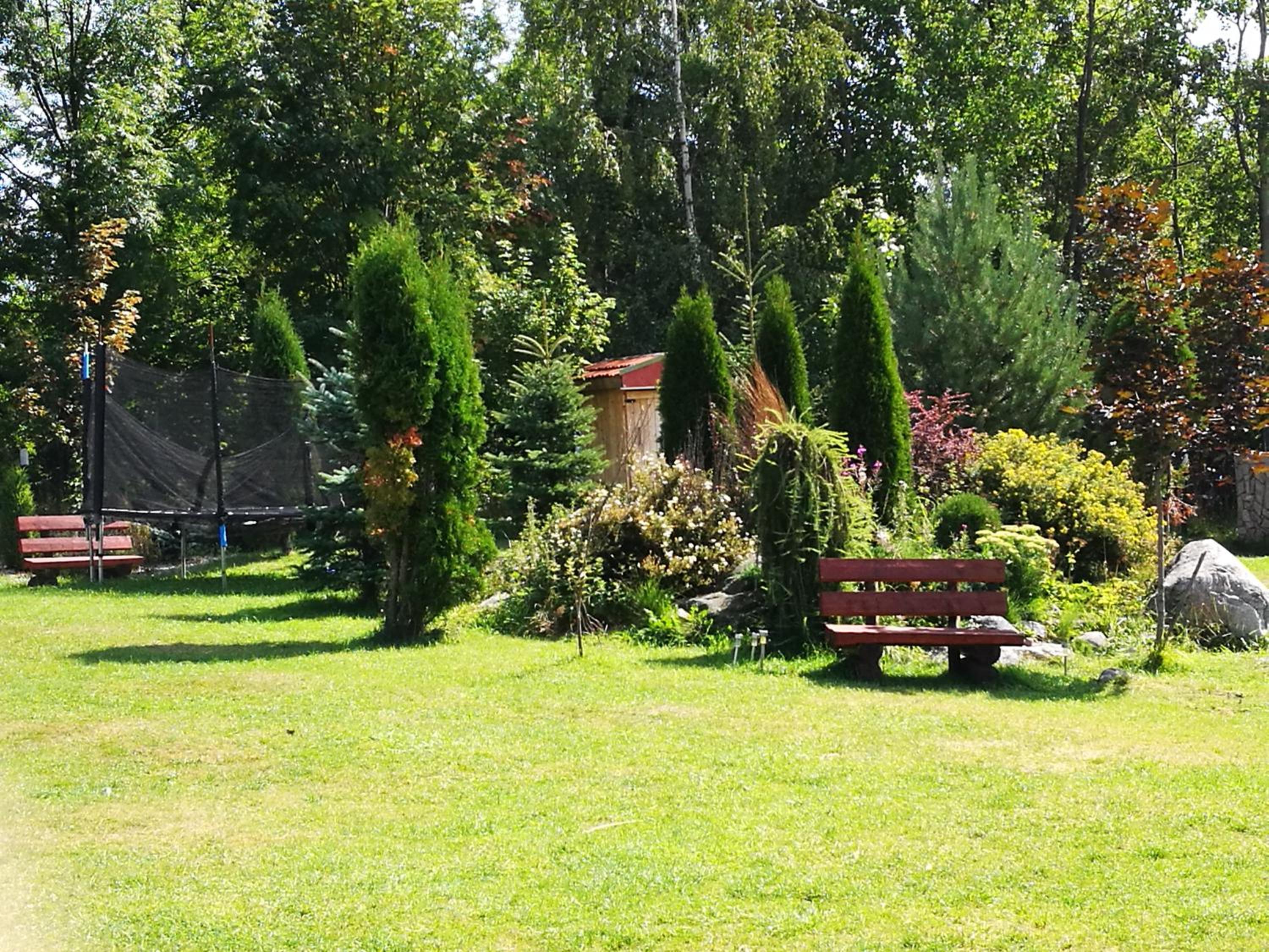 Photo 19