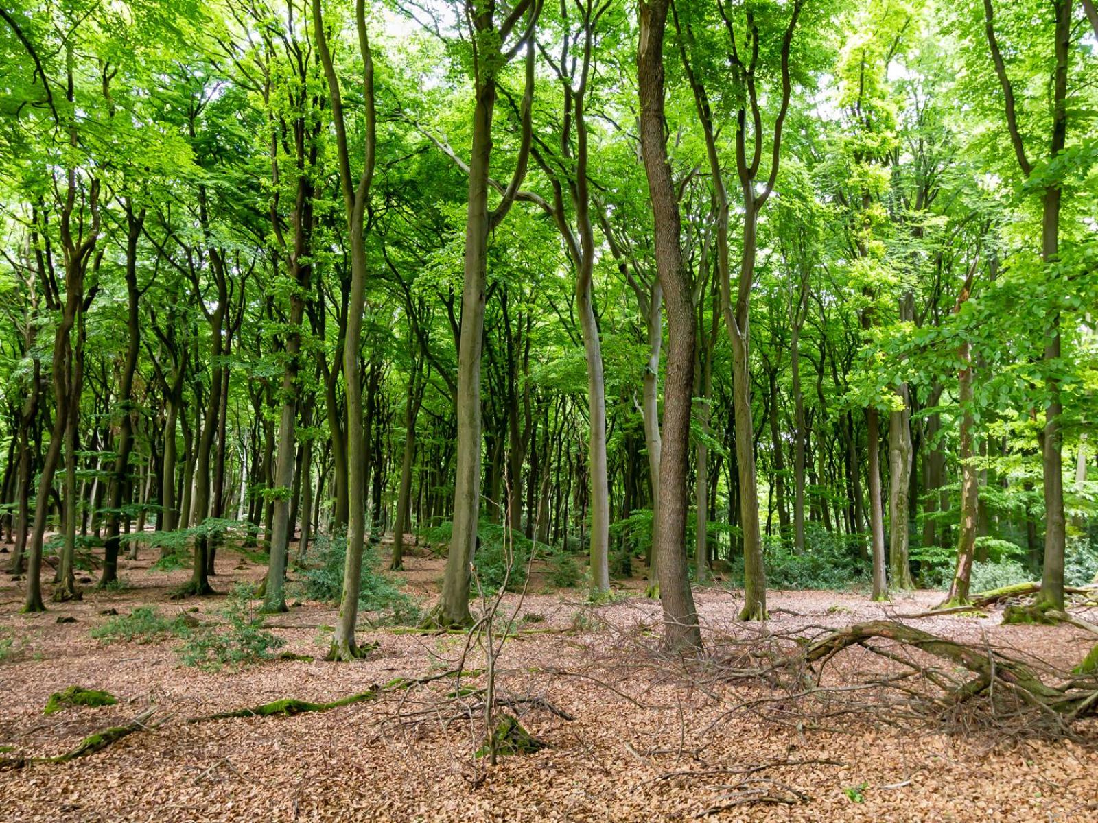 other