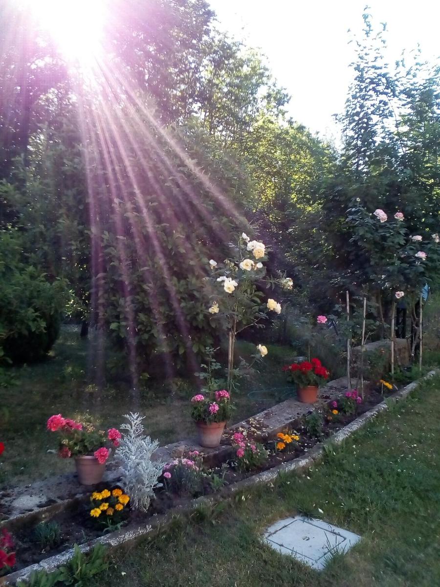 Casa vacanza Il Poggio photo 4