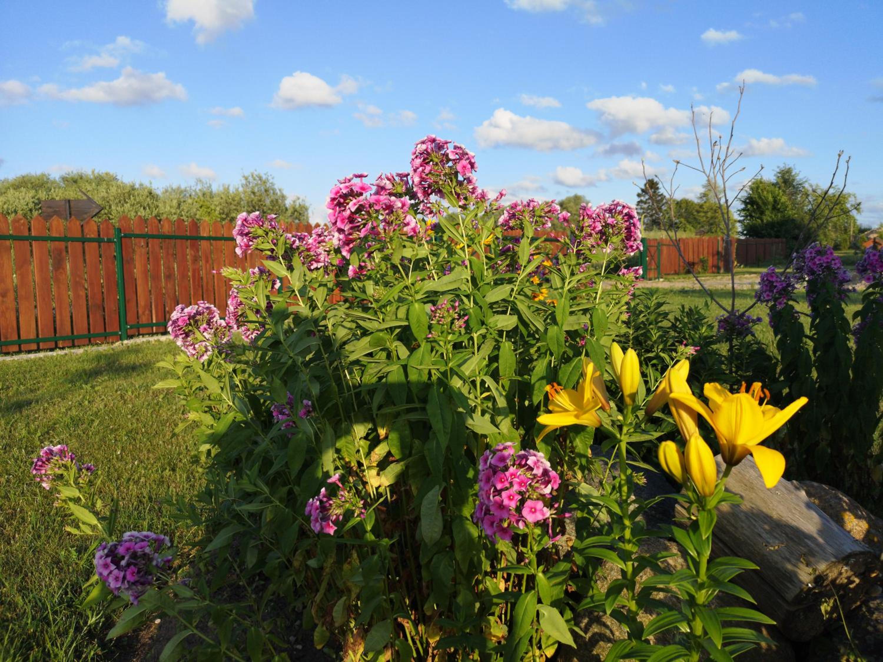 Photo 43