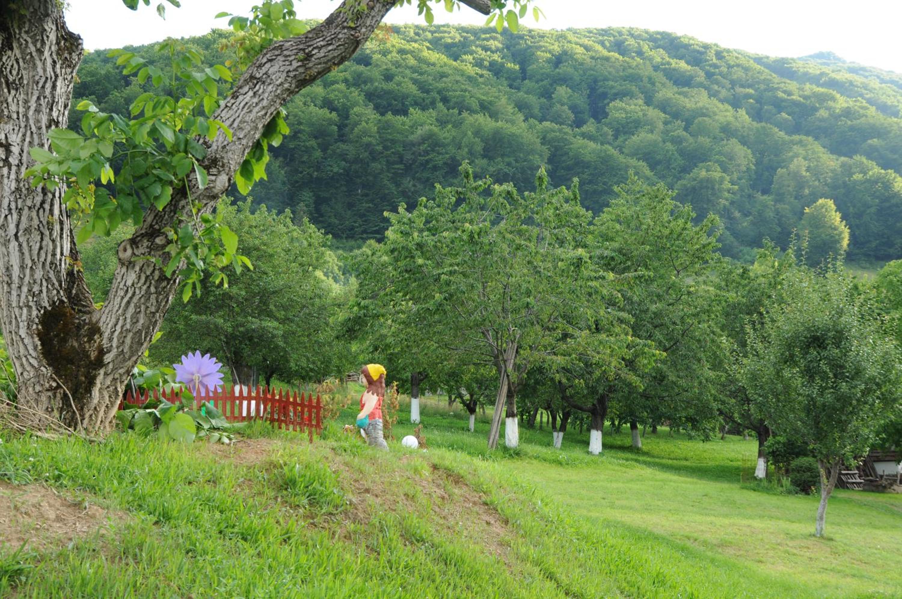 Photo 14
