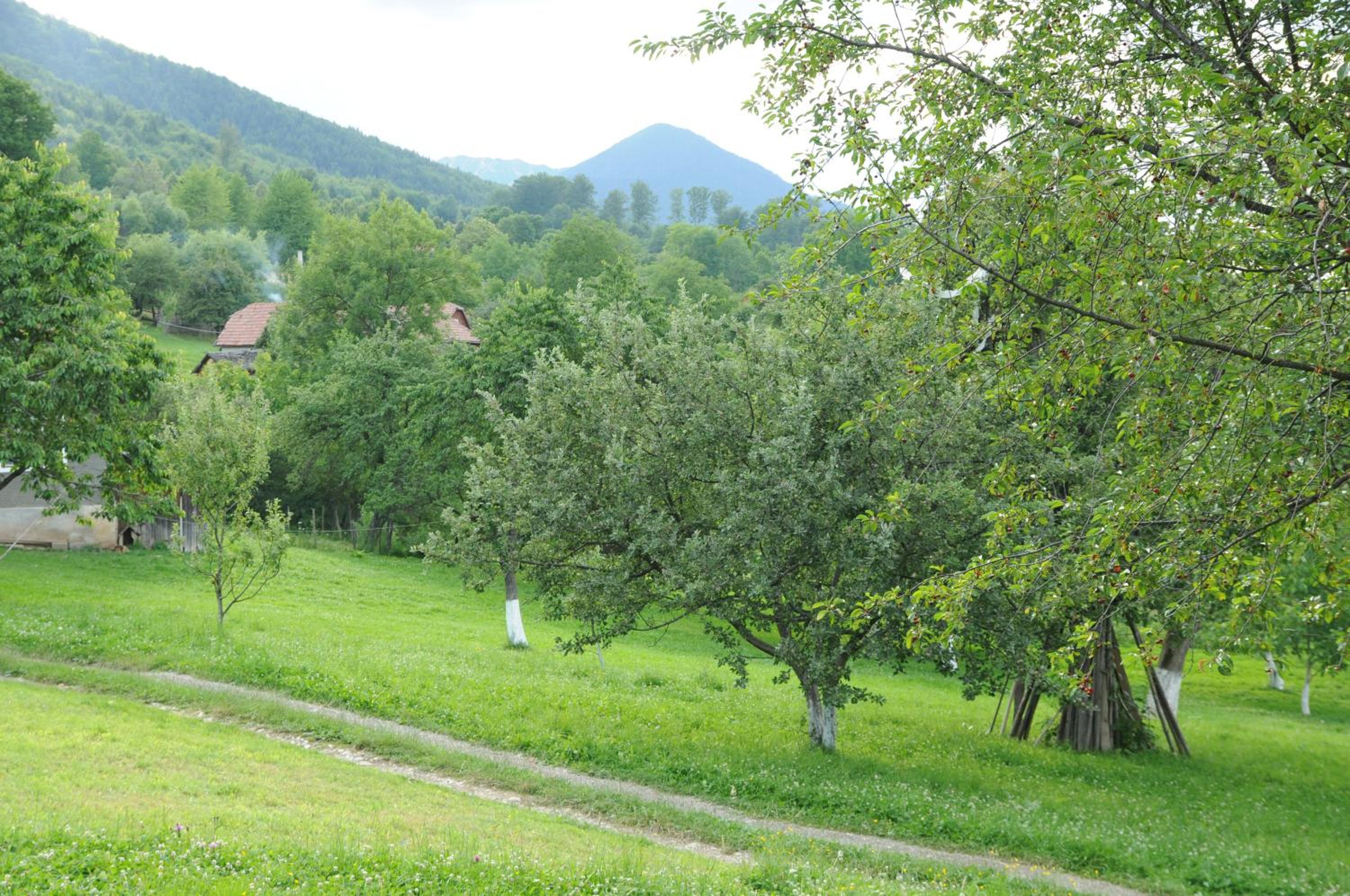 Photo 13