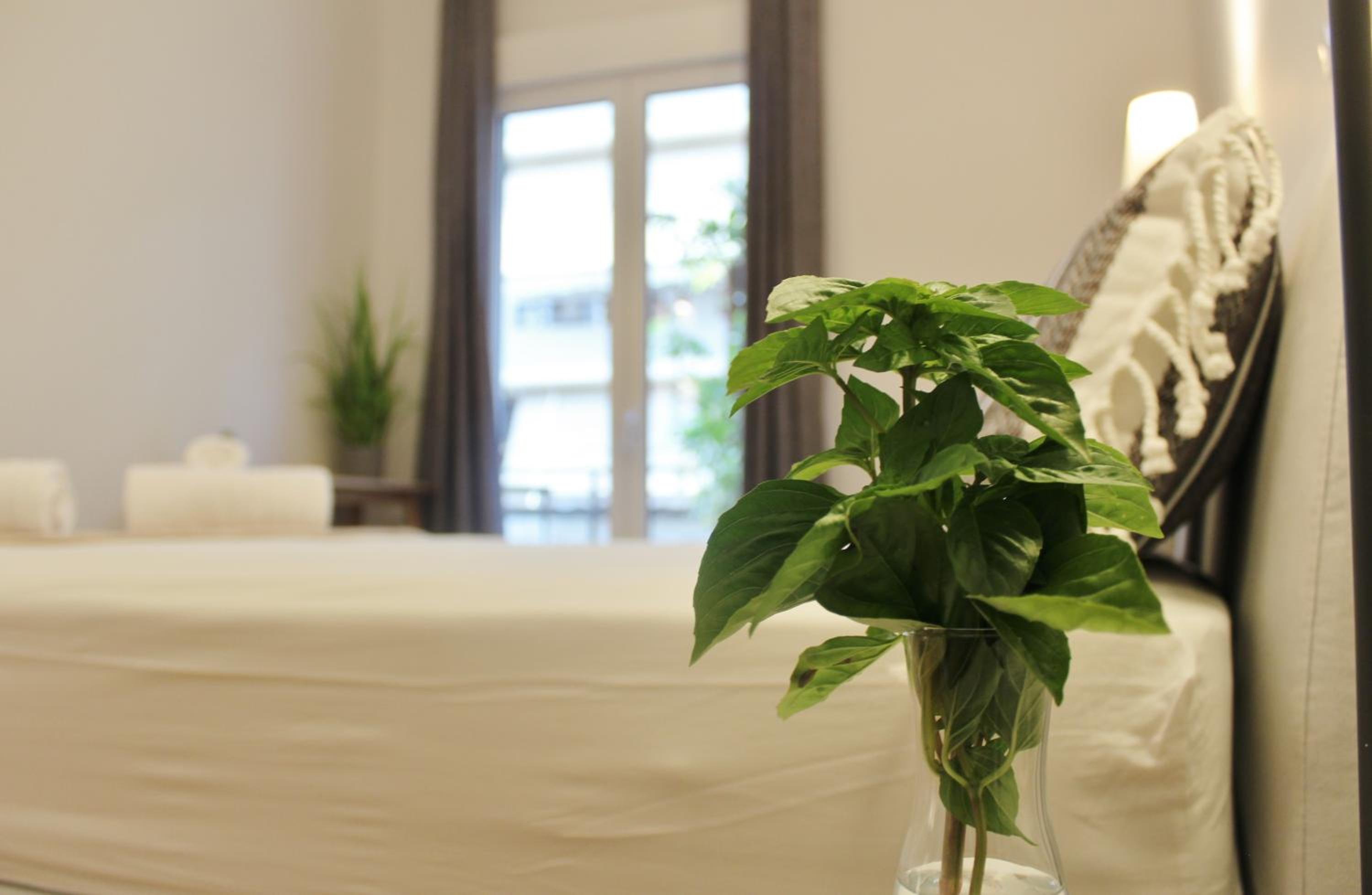 Athenian Hub Luxe Loft