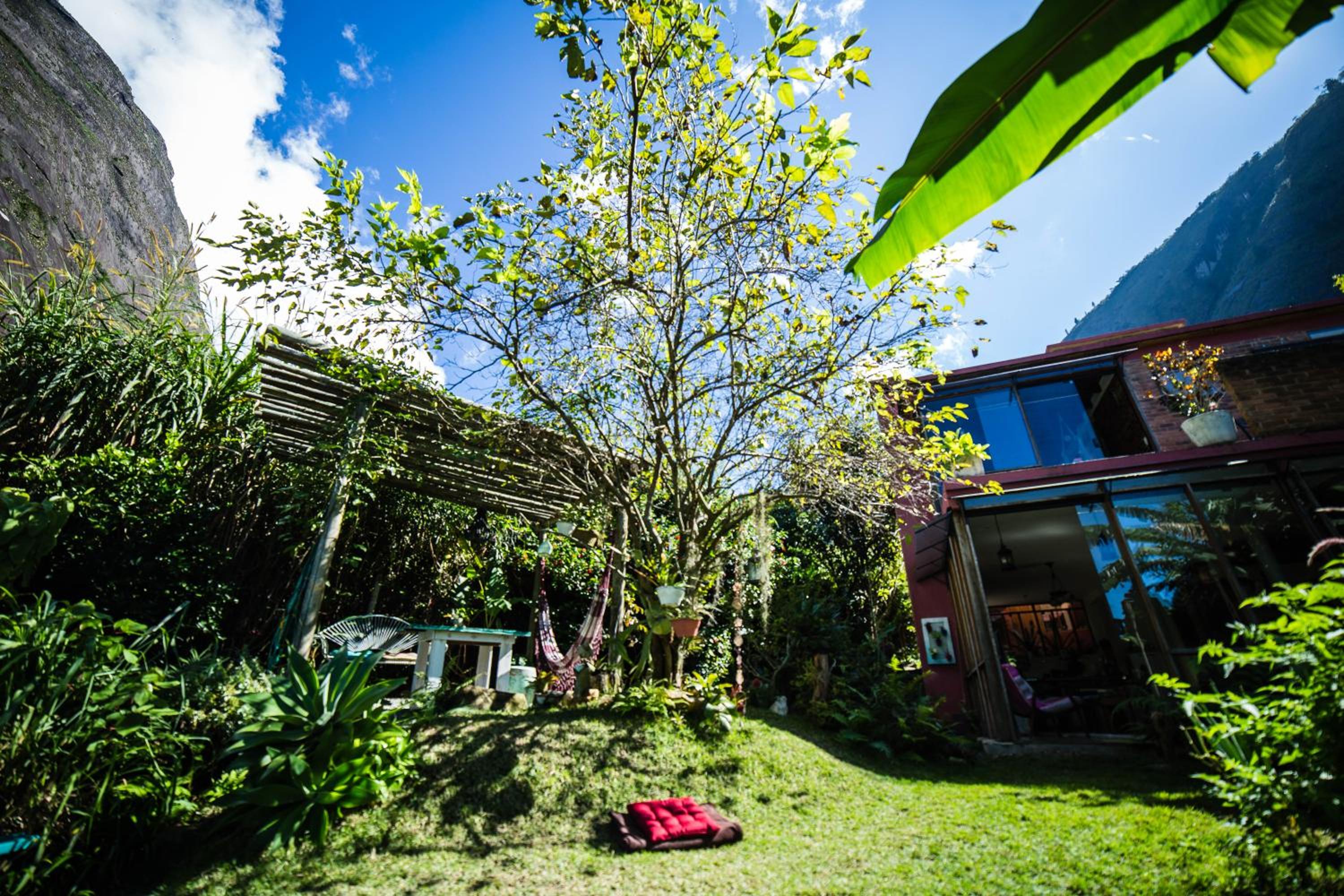 Casa de vidro view 5
