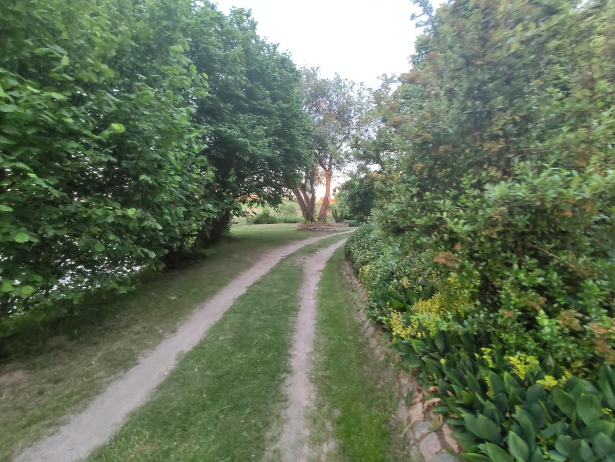 Photo 29