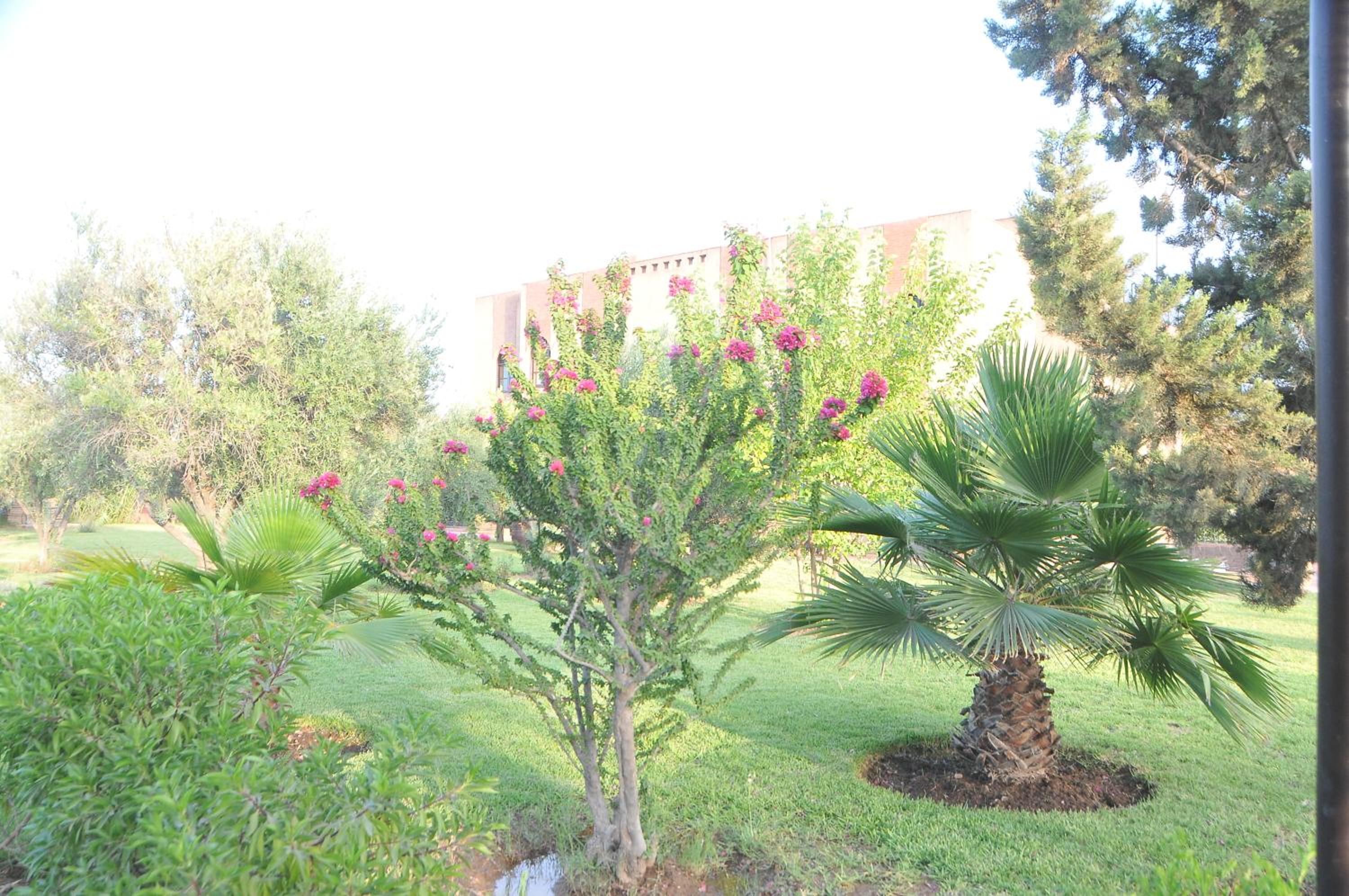 Photo 101
