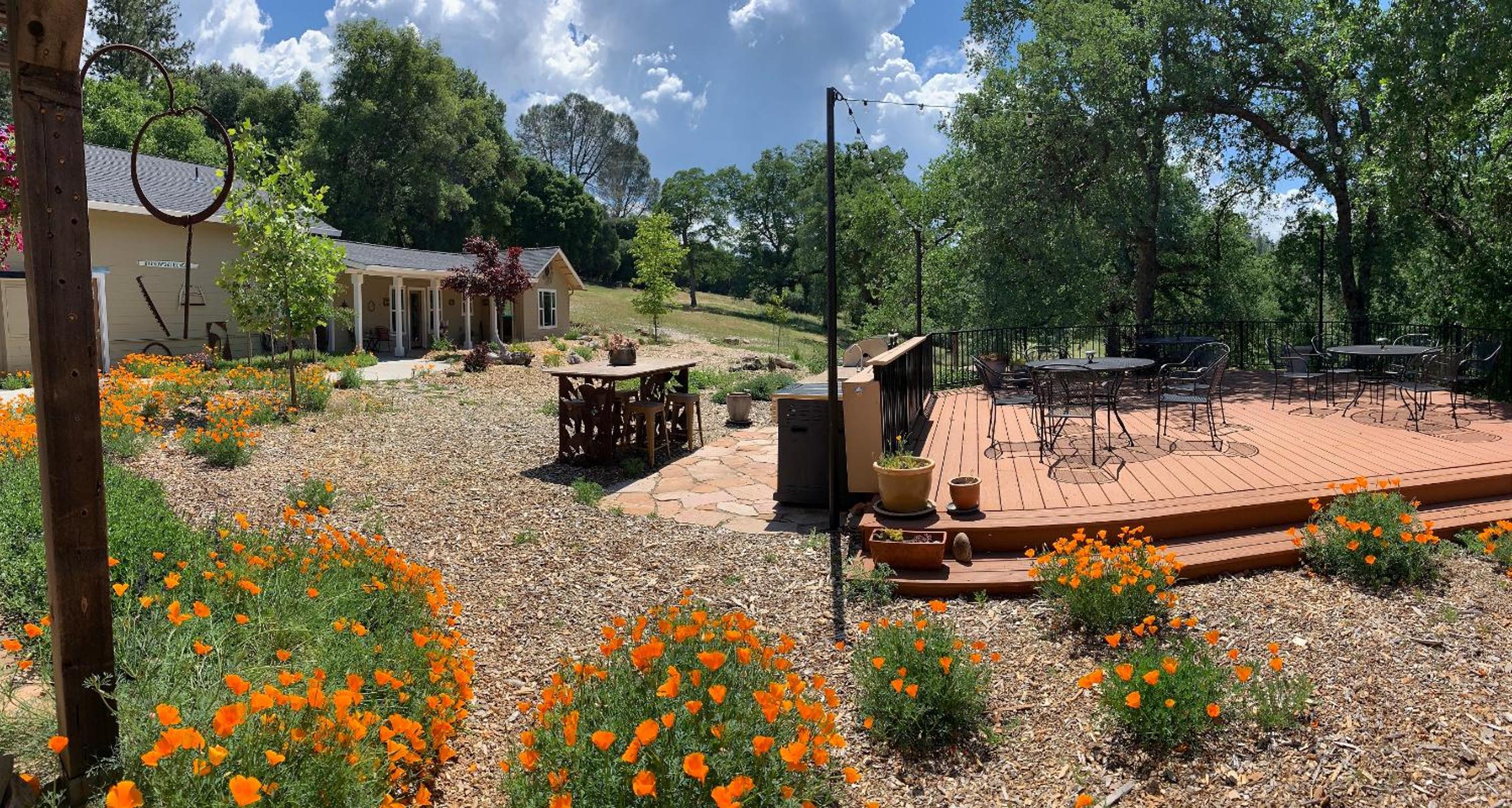 Red Tail Ranch