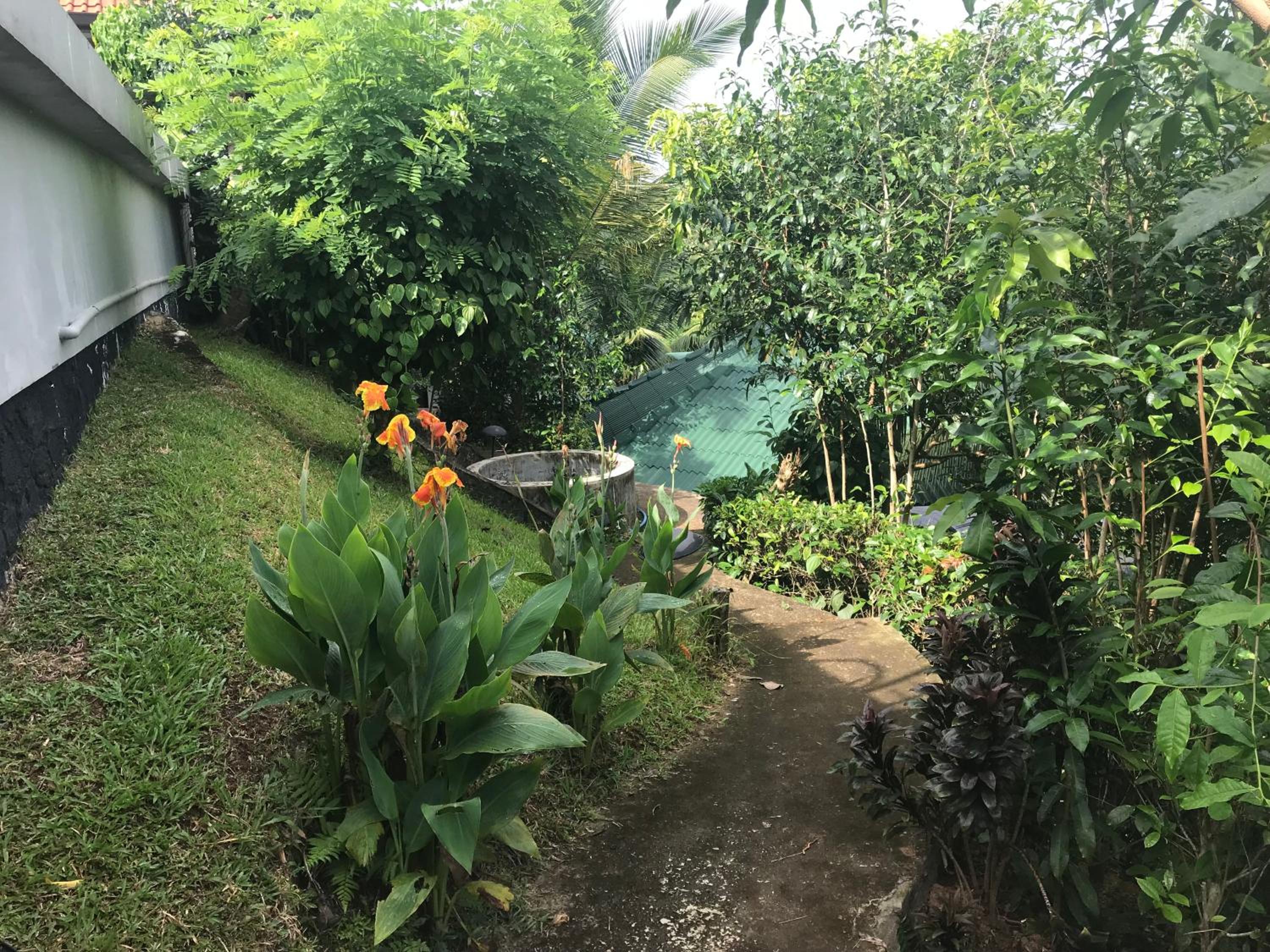 Jungle Heart Cabanas