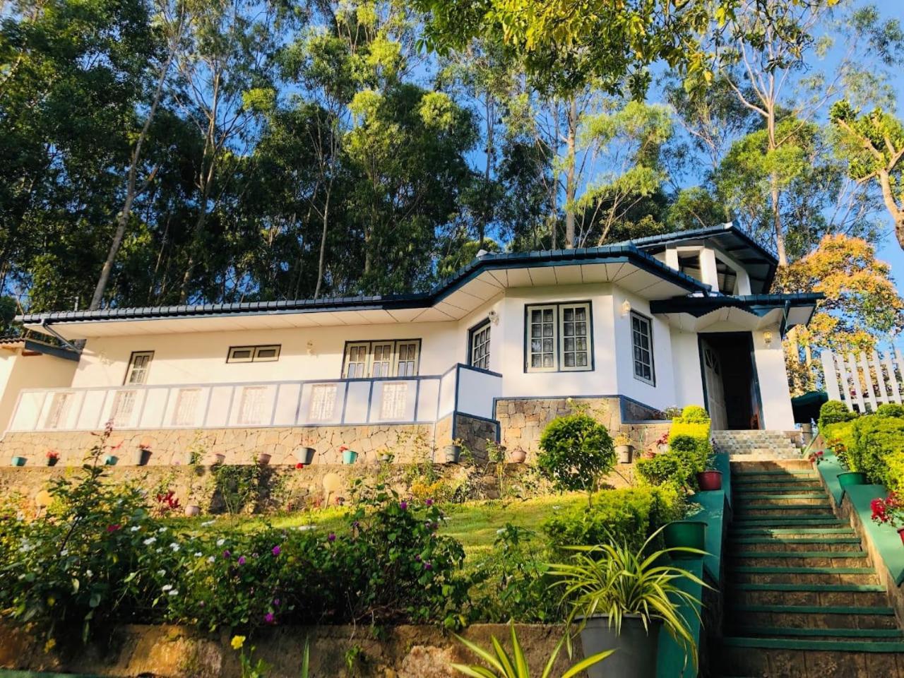 Windsor Forest bungalow view 3