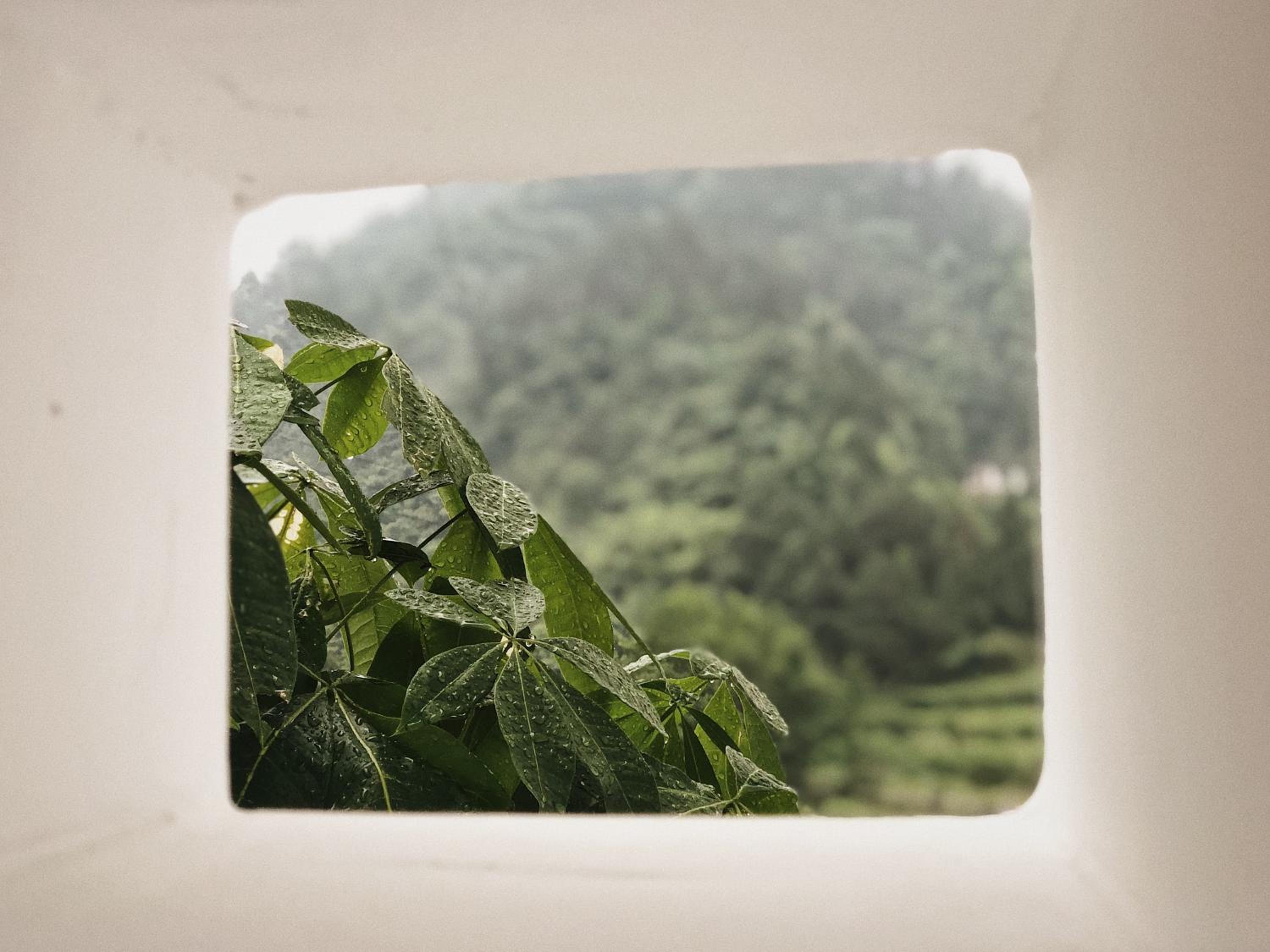 Whispering Mountains Boutique Hotel