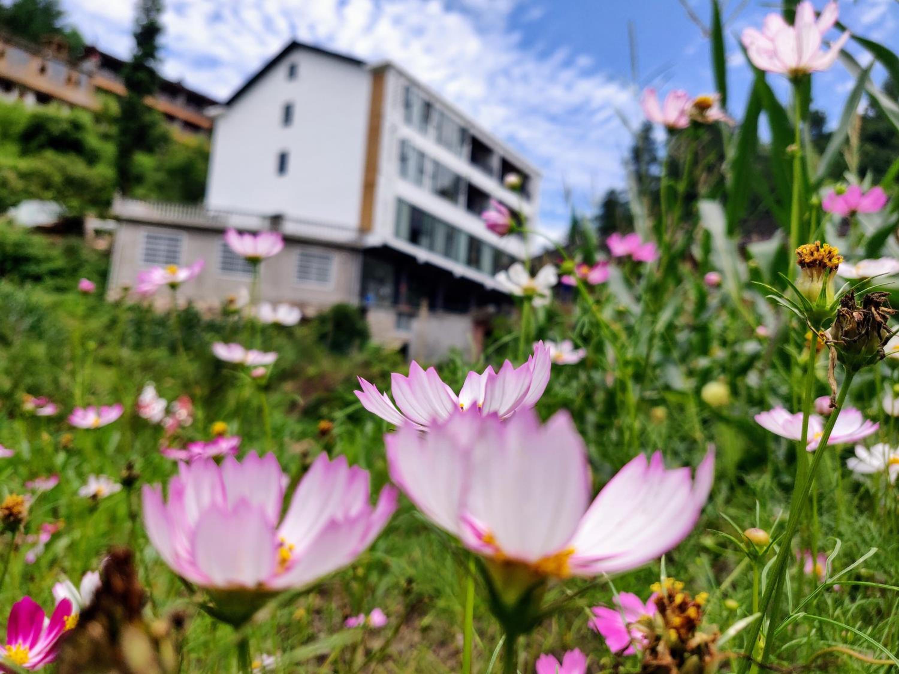 Whispering Mountains Boutique Hotel