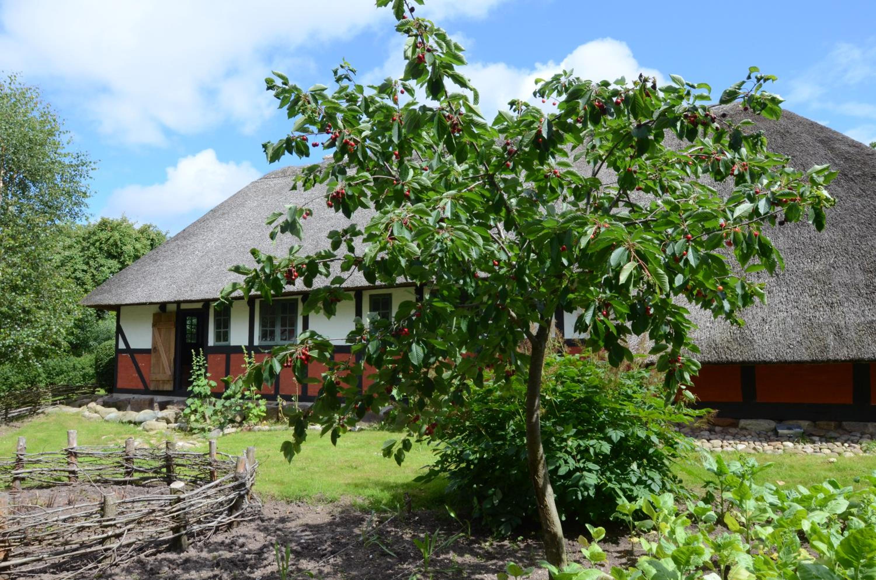 Thurup Hus