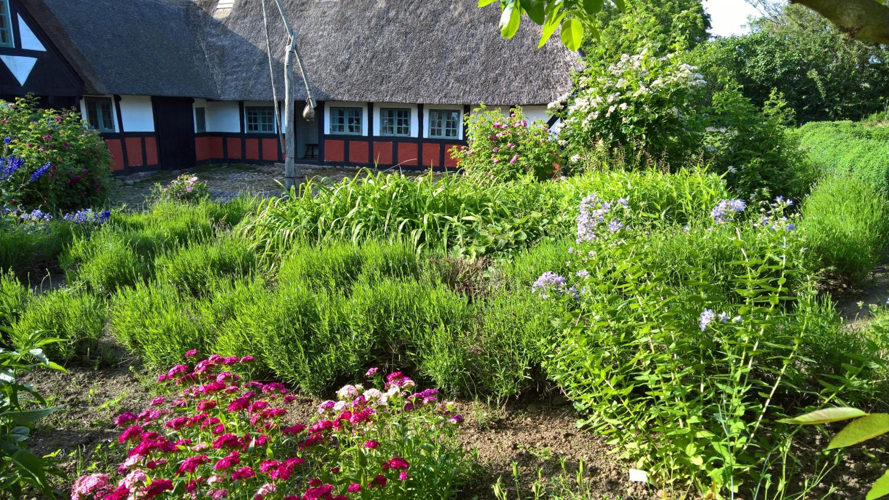 Thurup Hus