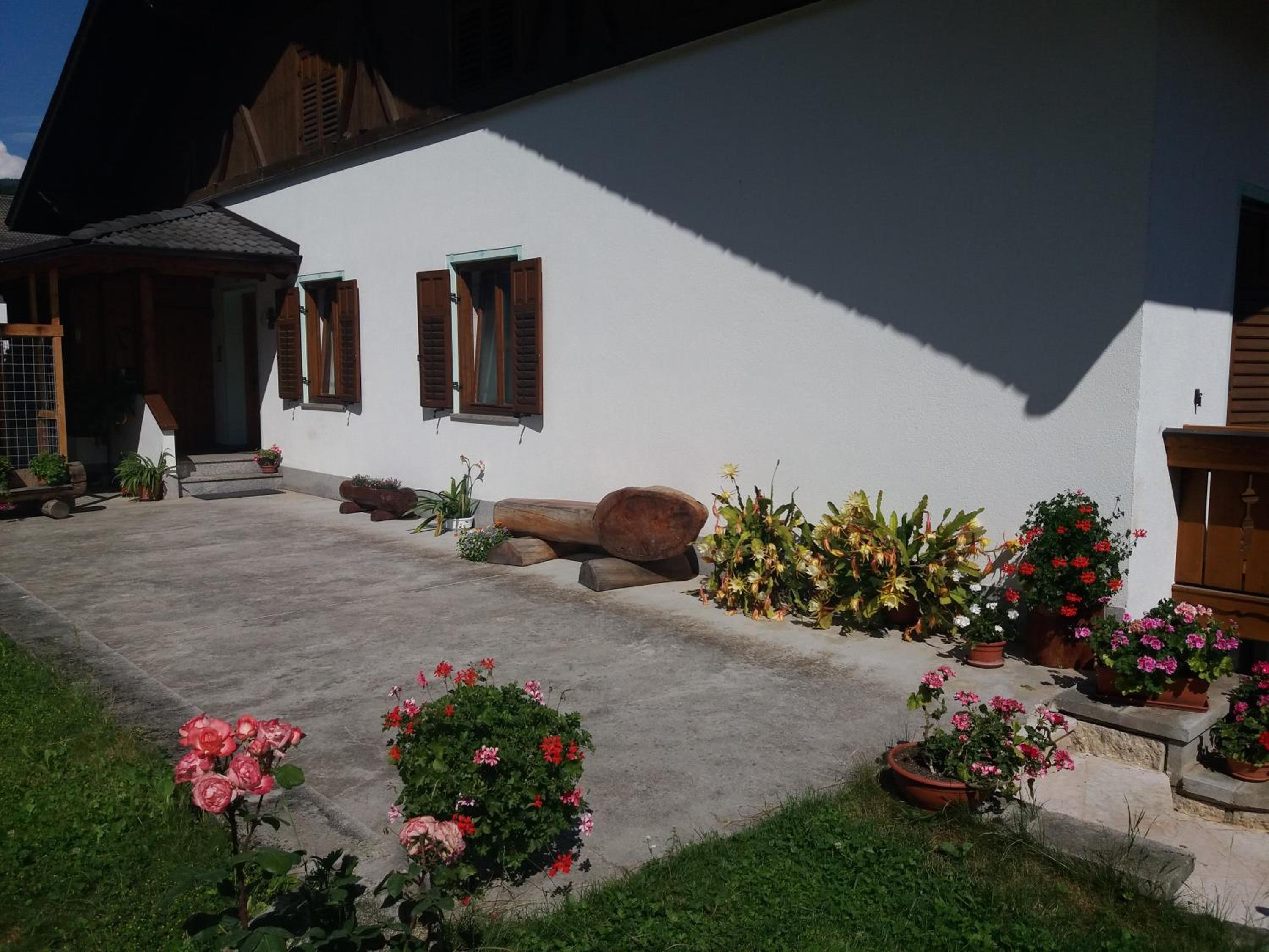 Appartamento Cologna view 3