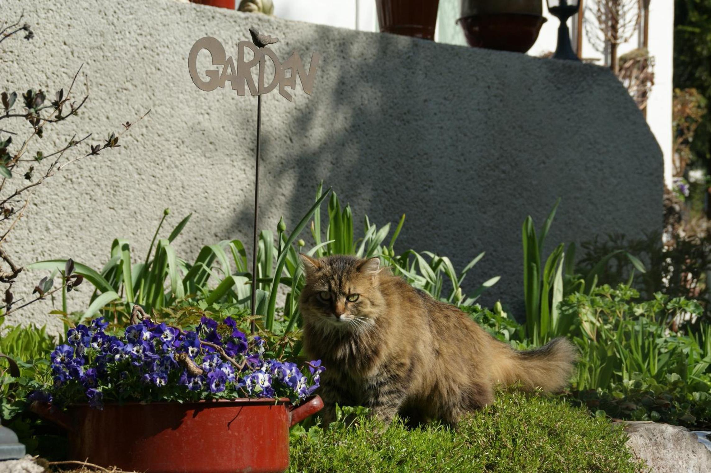Landhaus Herzog