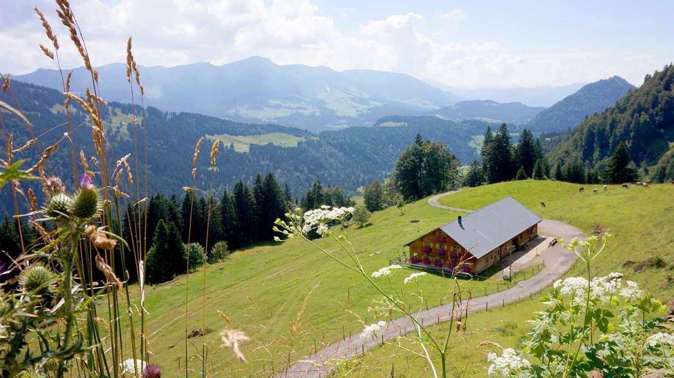 Ferienhaus Bausch