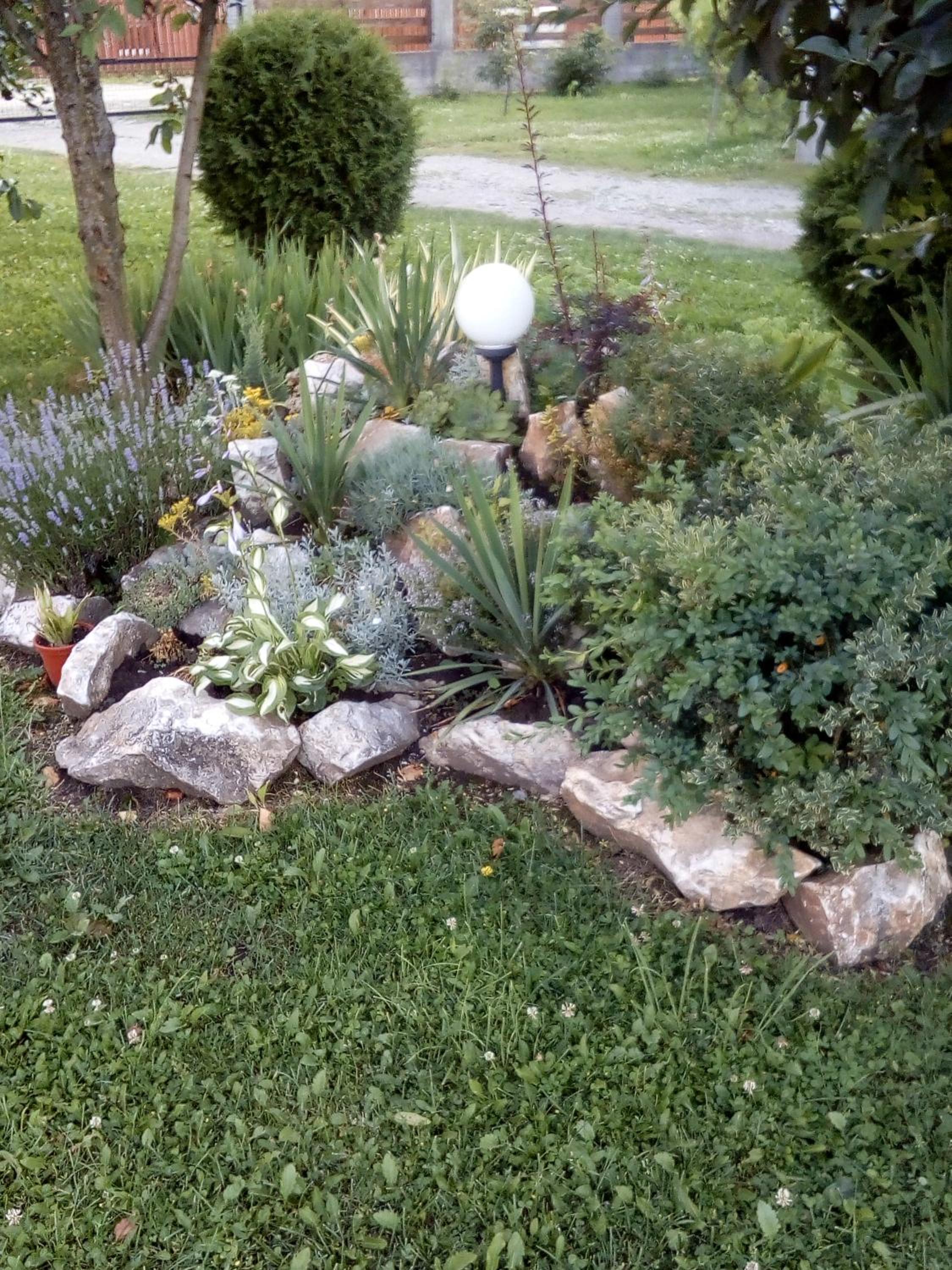 Photo 31