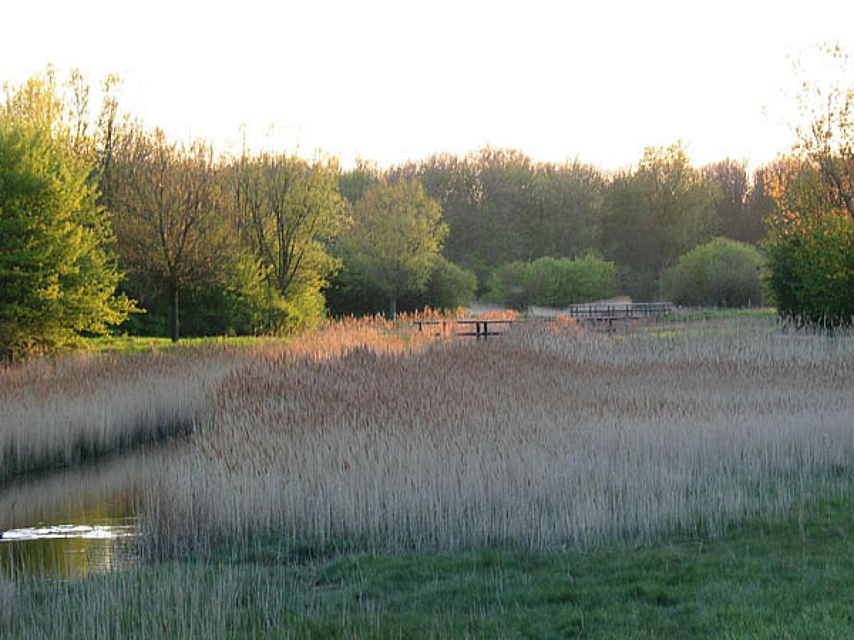 Swaenenburgh view 4