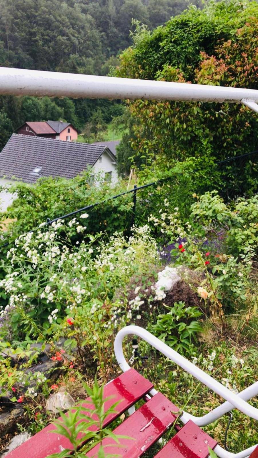 Alpen Panorama view Luxury House with green Garden