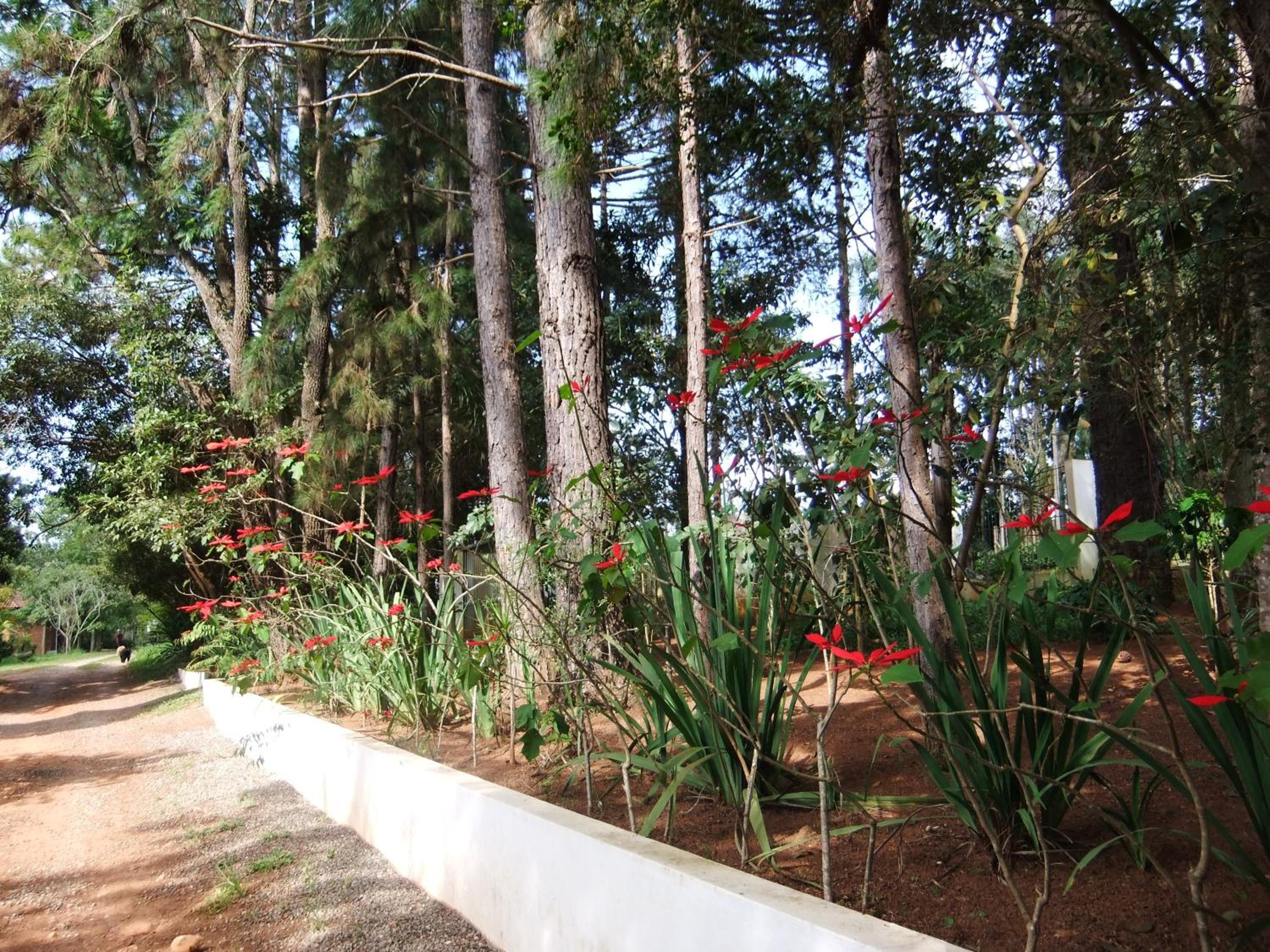 Photo 29