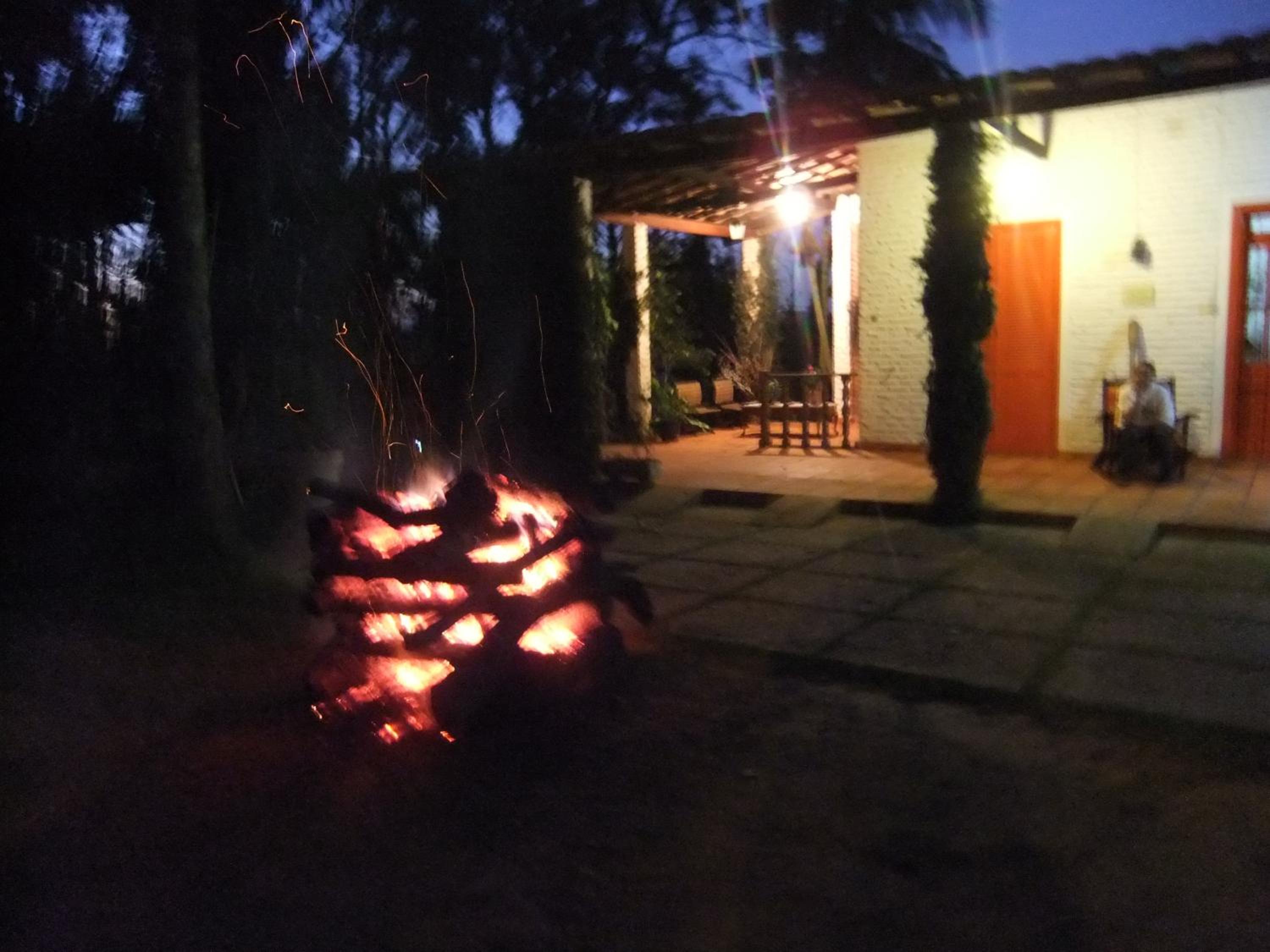 Photo 31