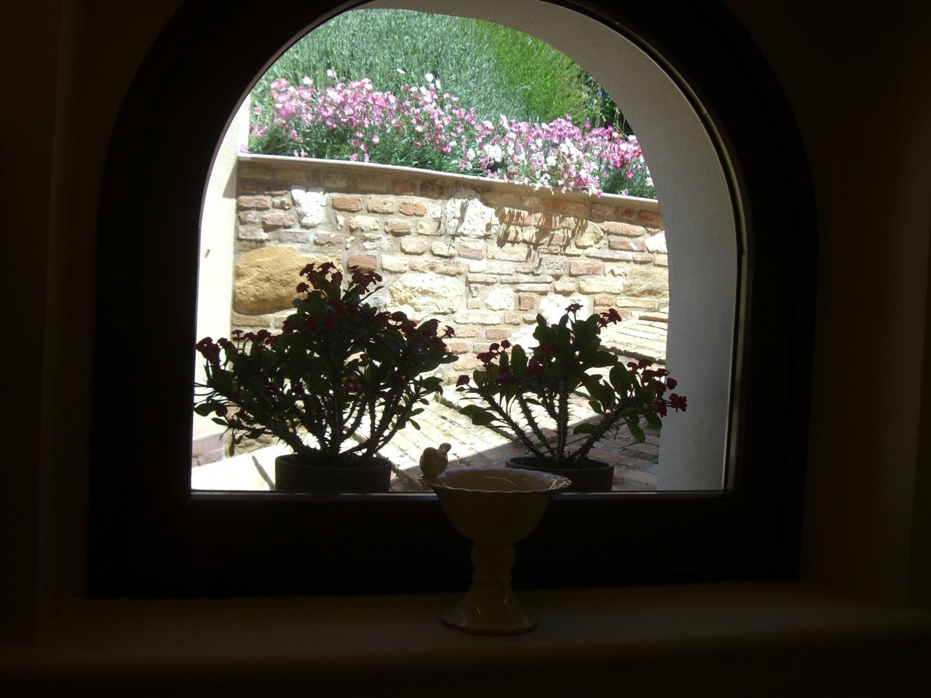 Agriturismo Pozzuolo