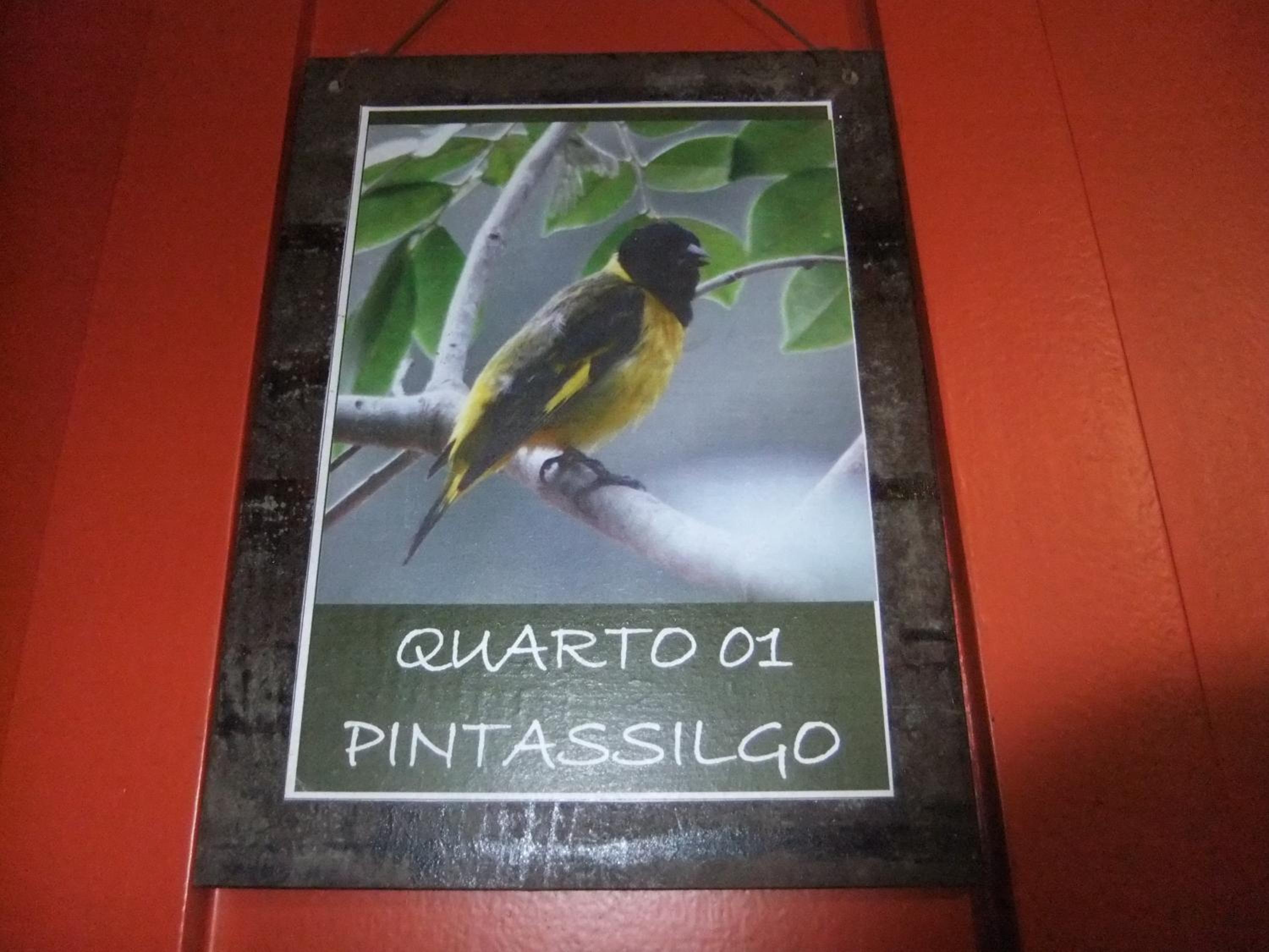 Photo 48