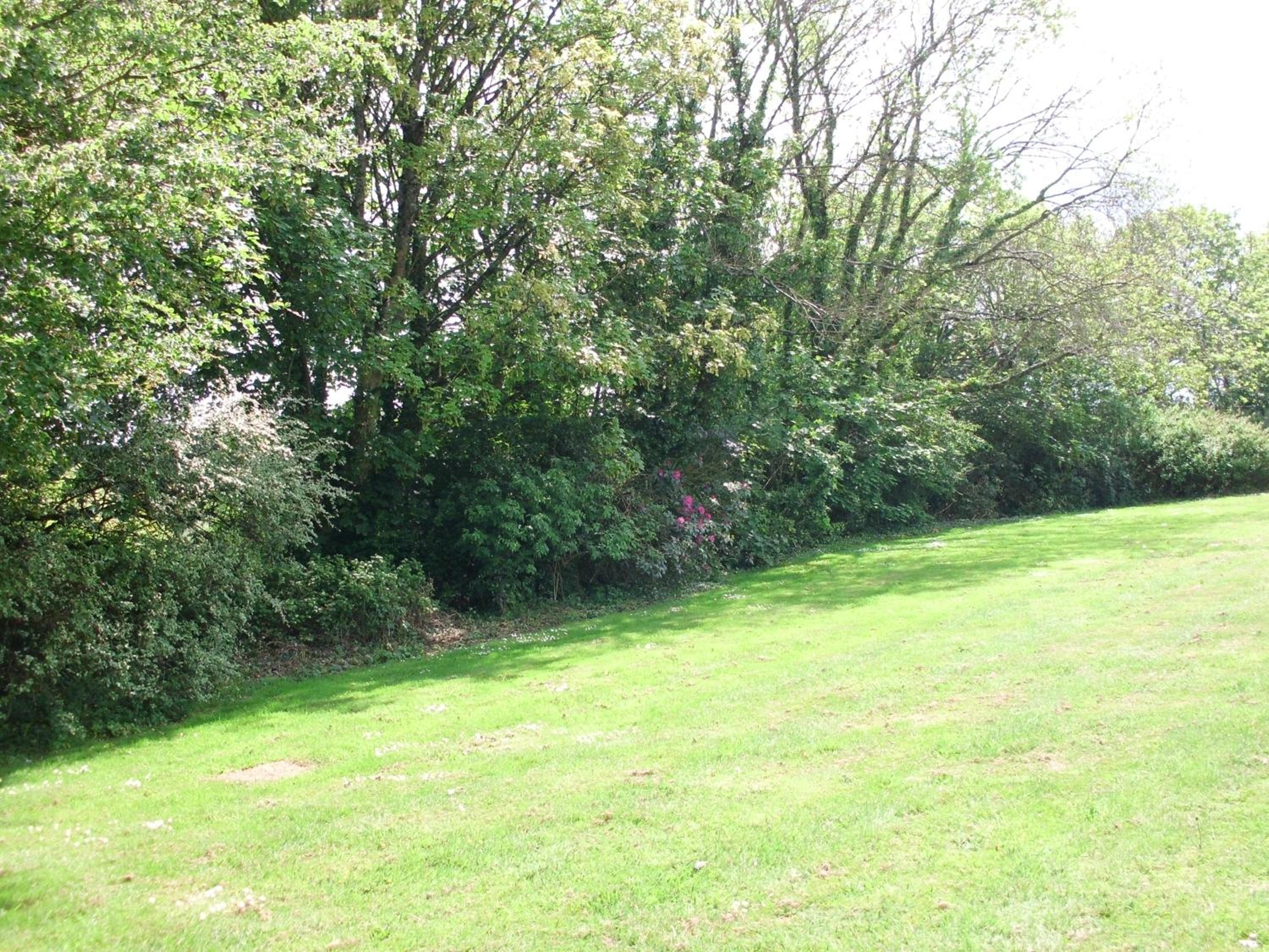Photo 35
