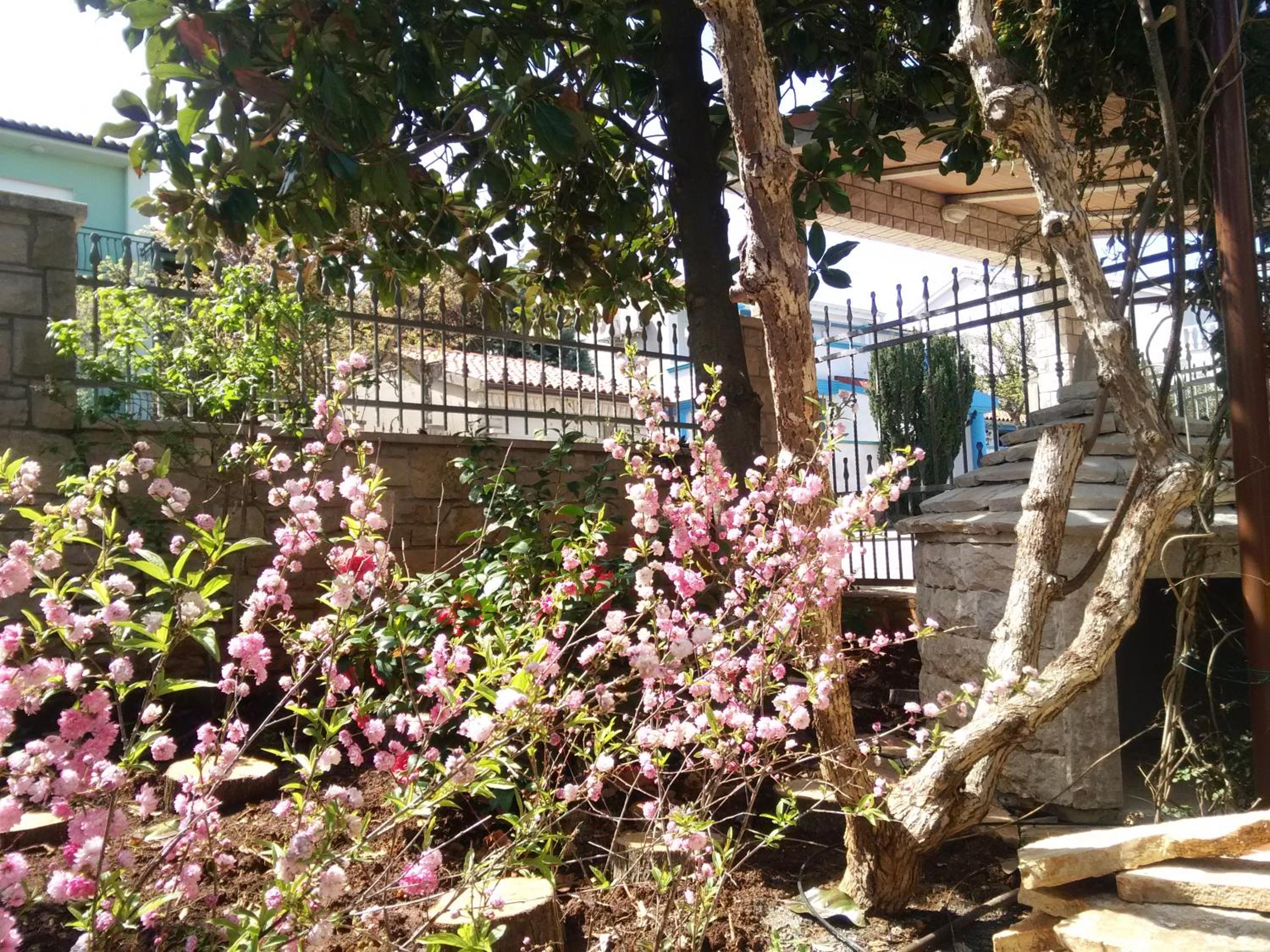 Apartments villa MaVeRo