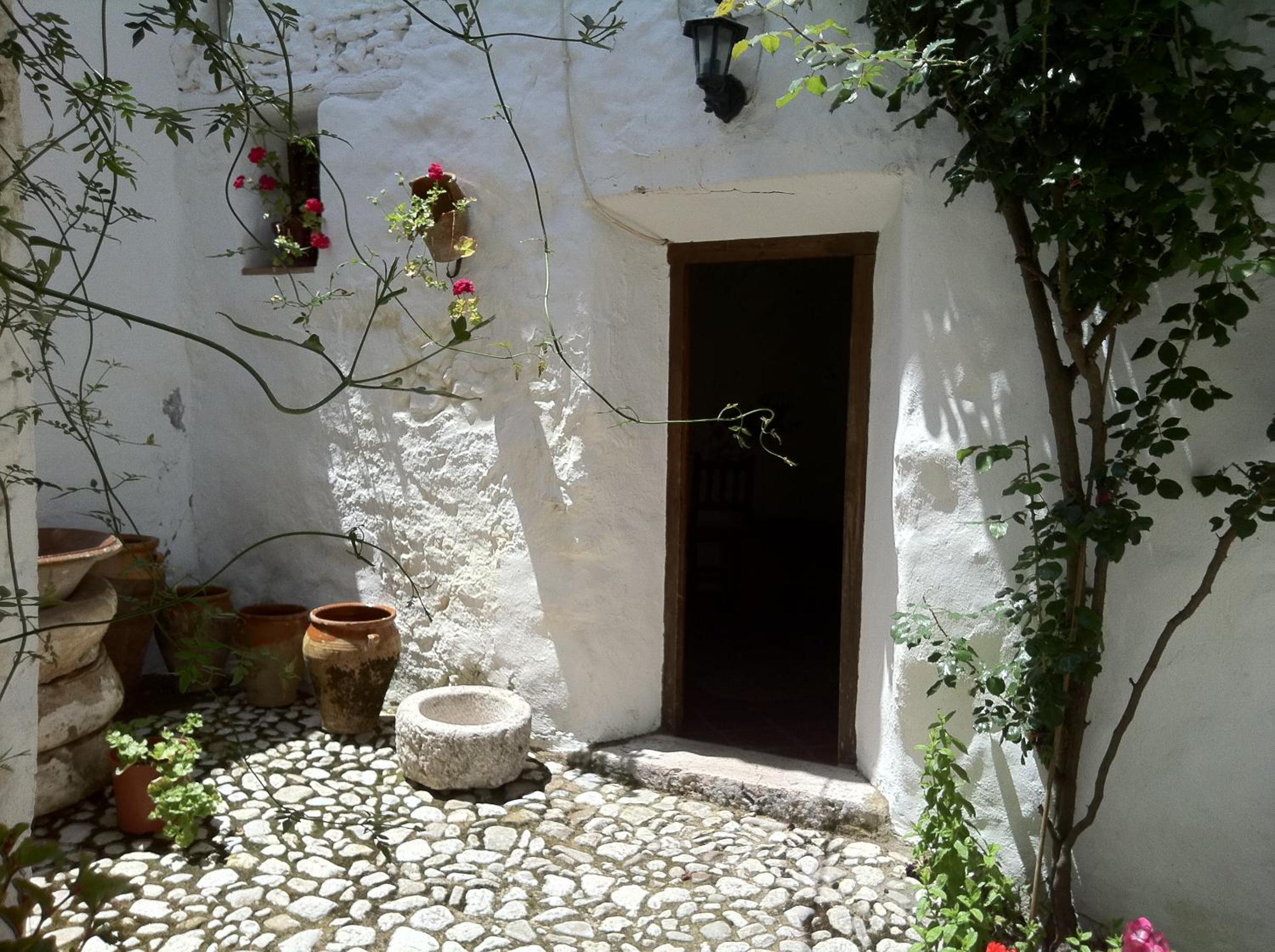 Photo 29
