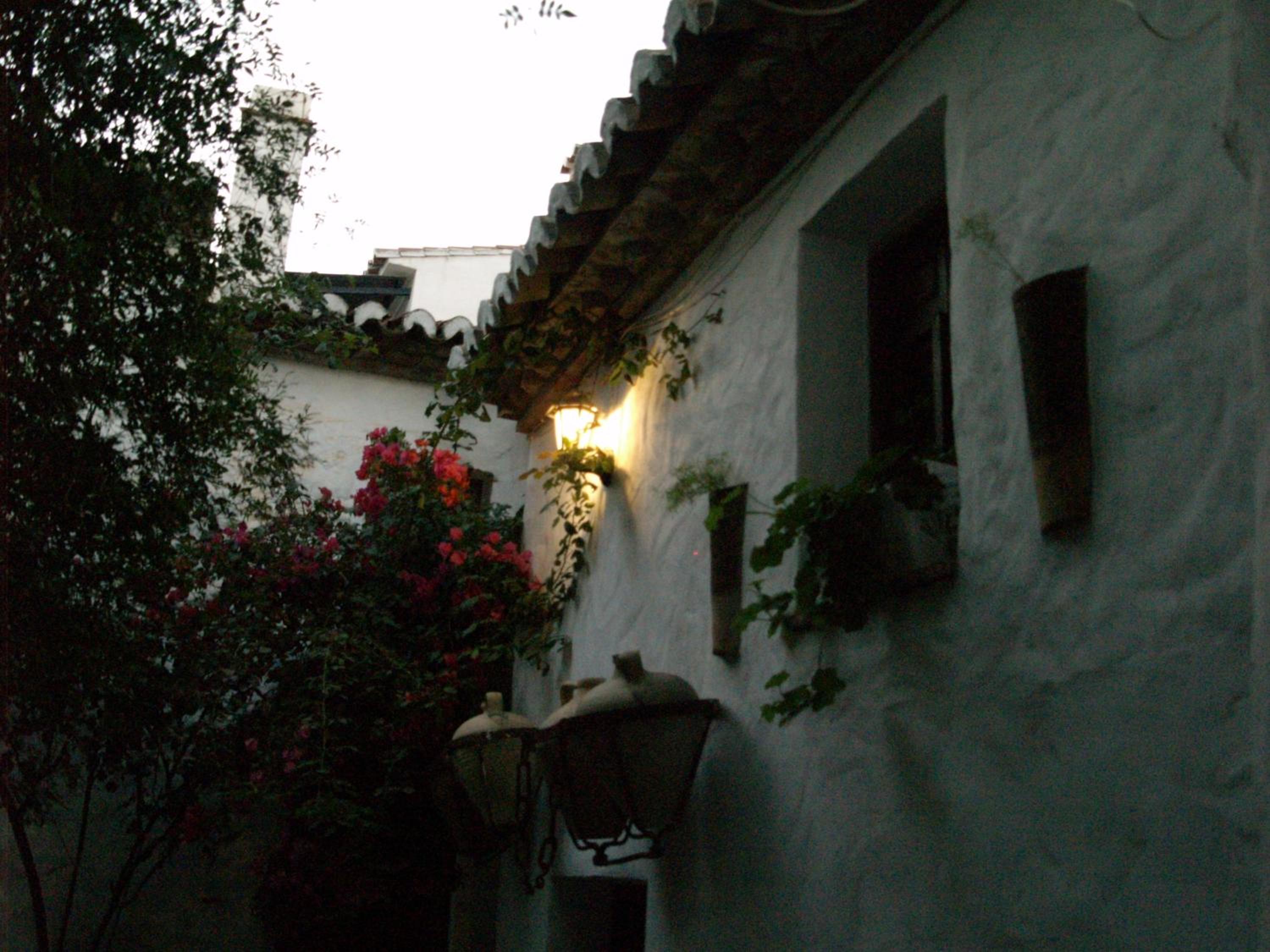 Photo 36