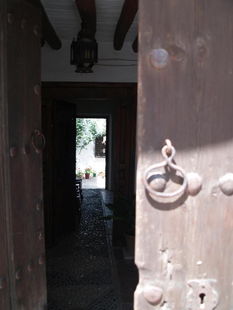 Photo 44