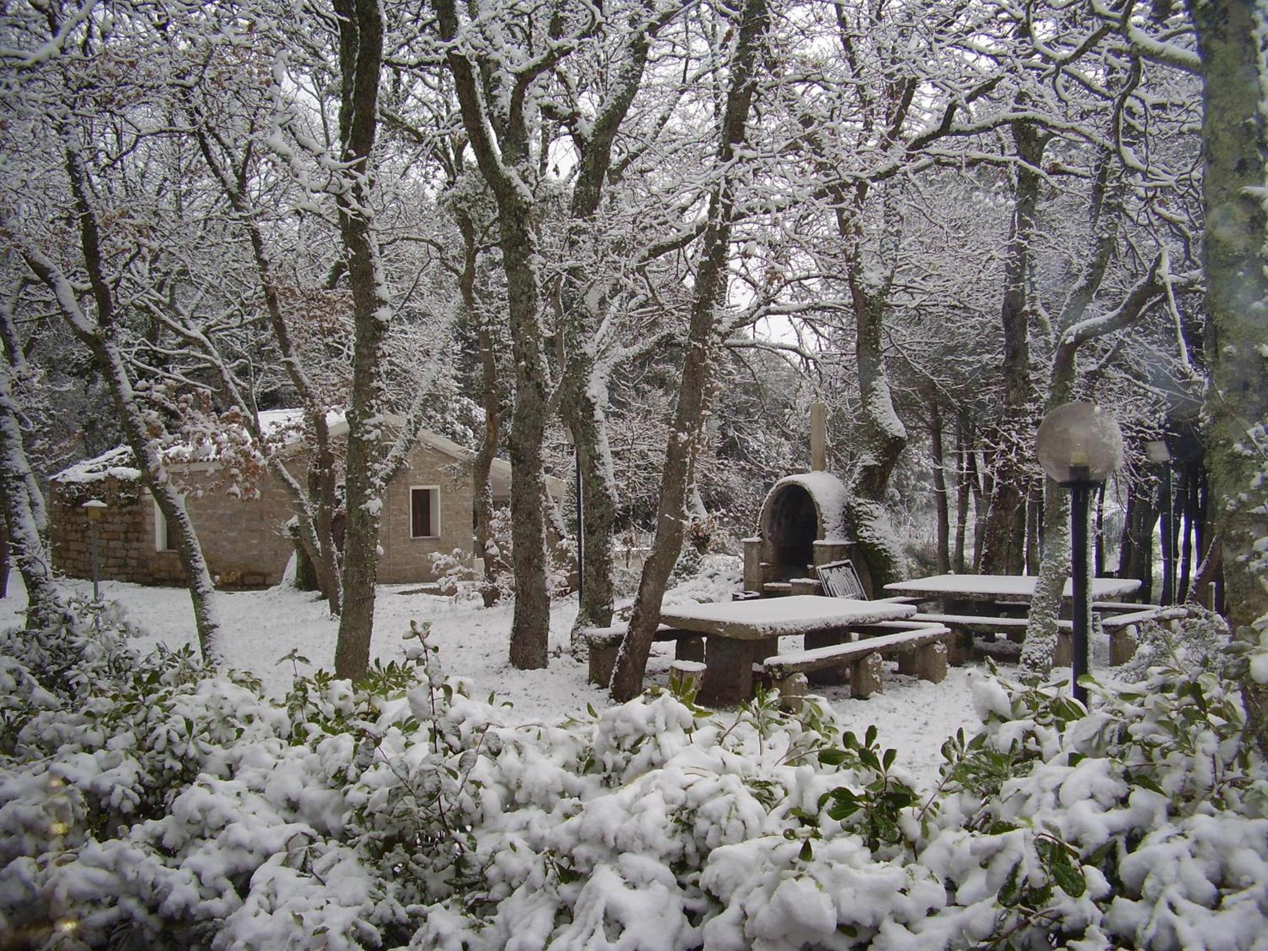 Photo 8