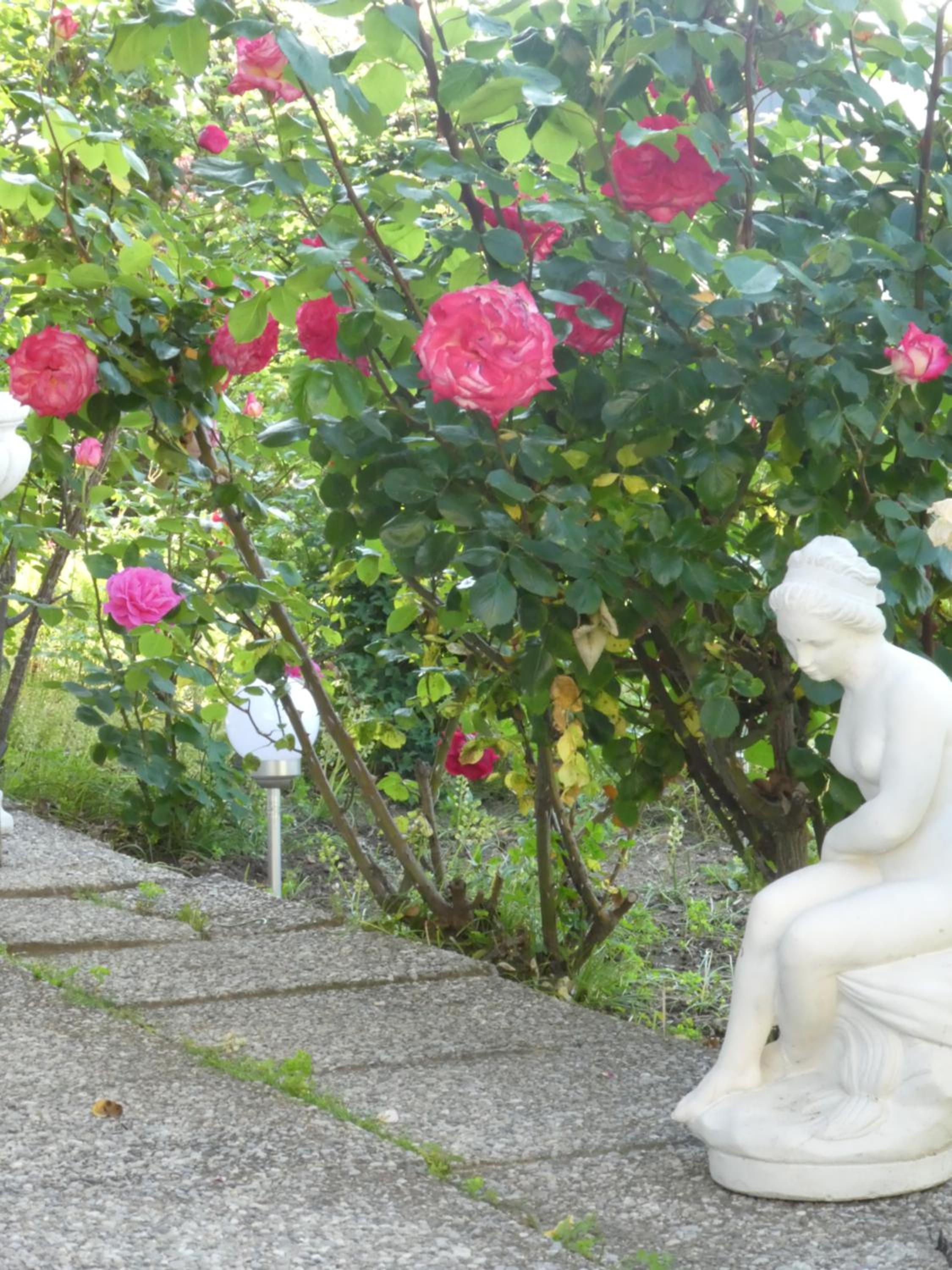 Villa Rauter