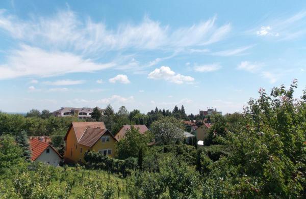 Bencze Vendégház Zalakaros view 2
