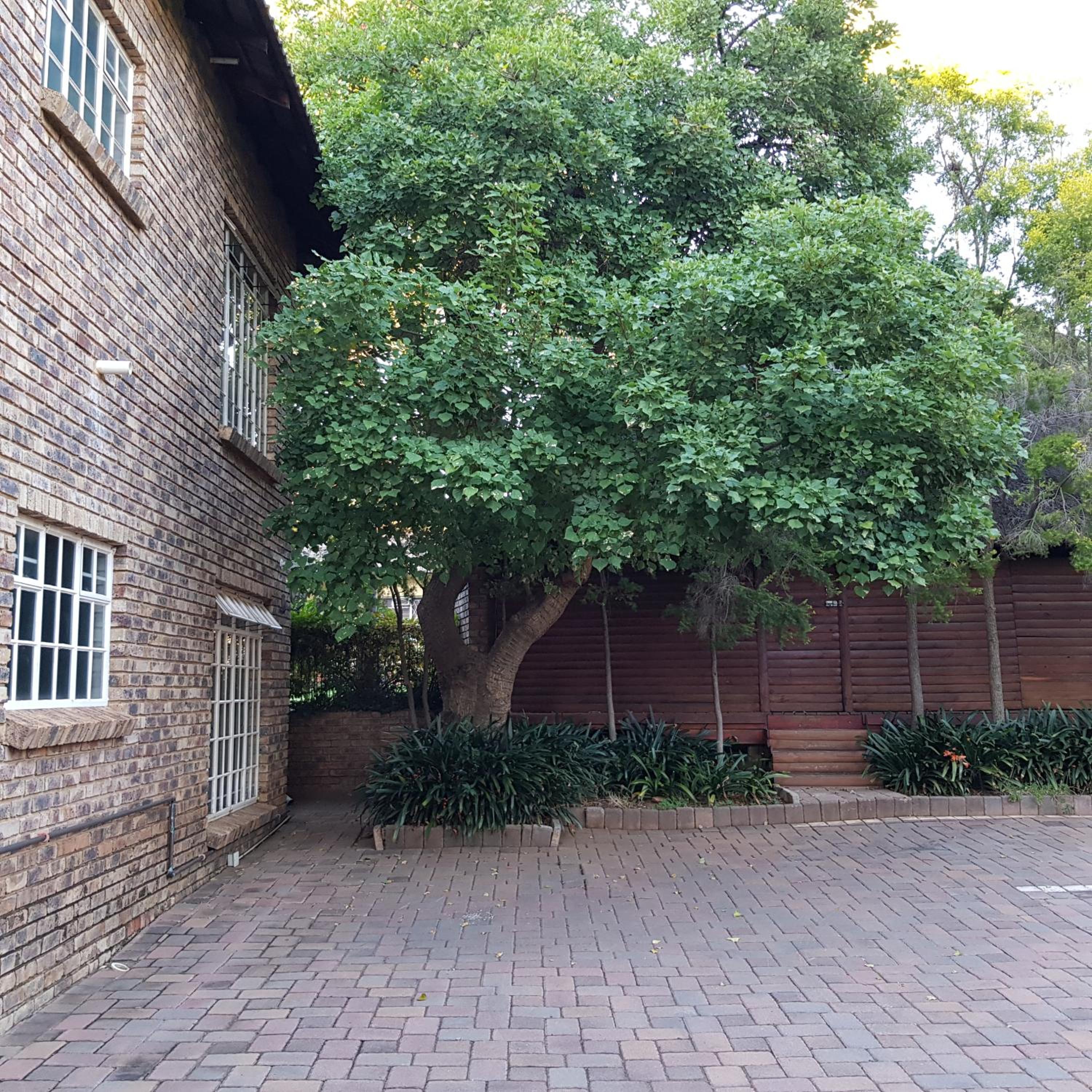 Falling Feather Inn