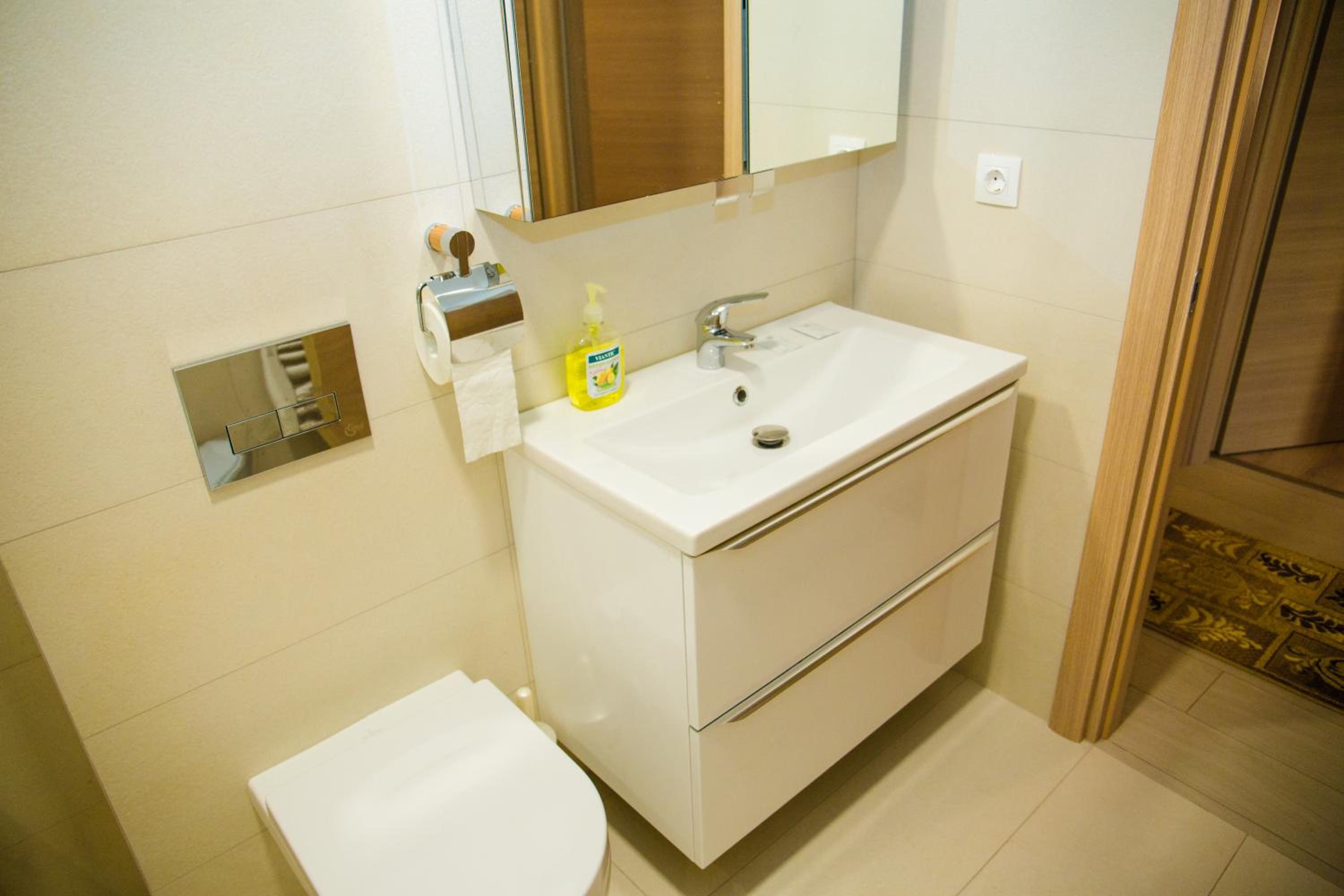 Apartament Calea Bucuresti view 5
