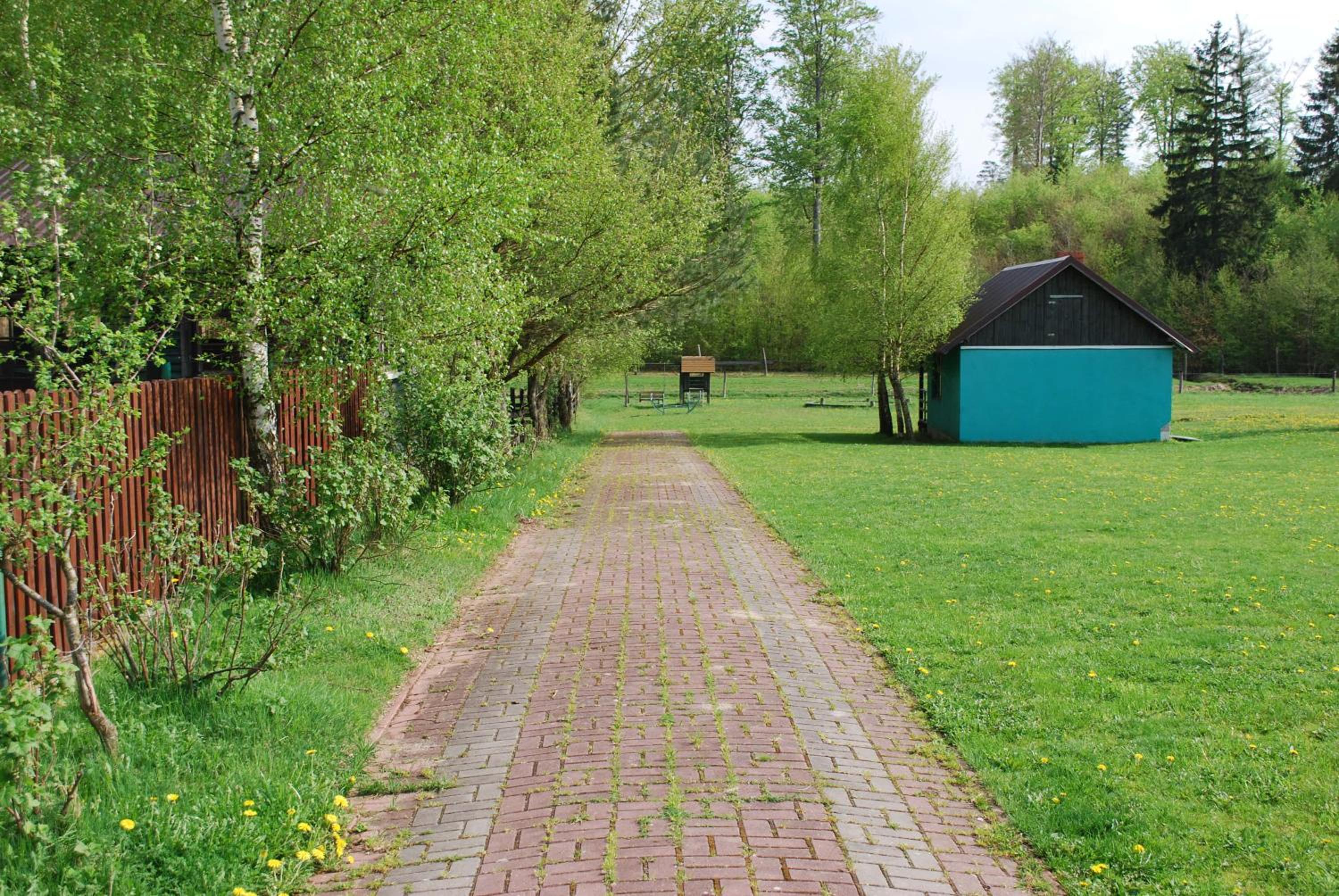 Photo 11