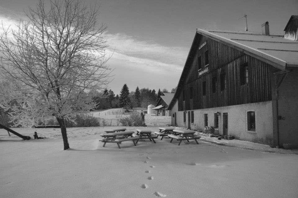 outdoor BBQ area